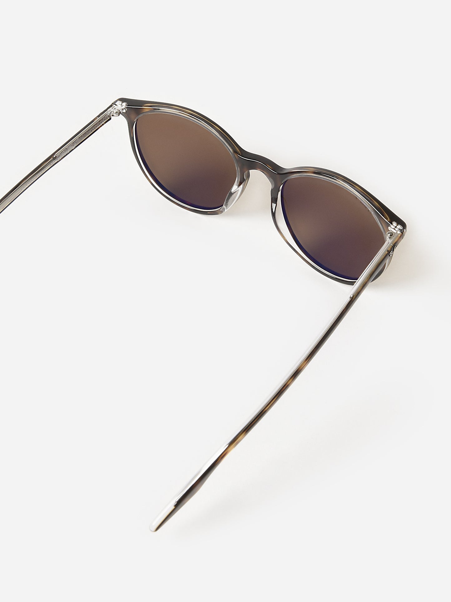 0RB2204xHAVANAONTRANSPARENTPOLARBROWN-alt4