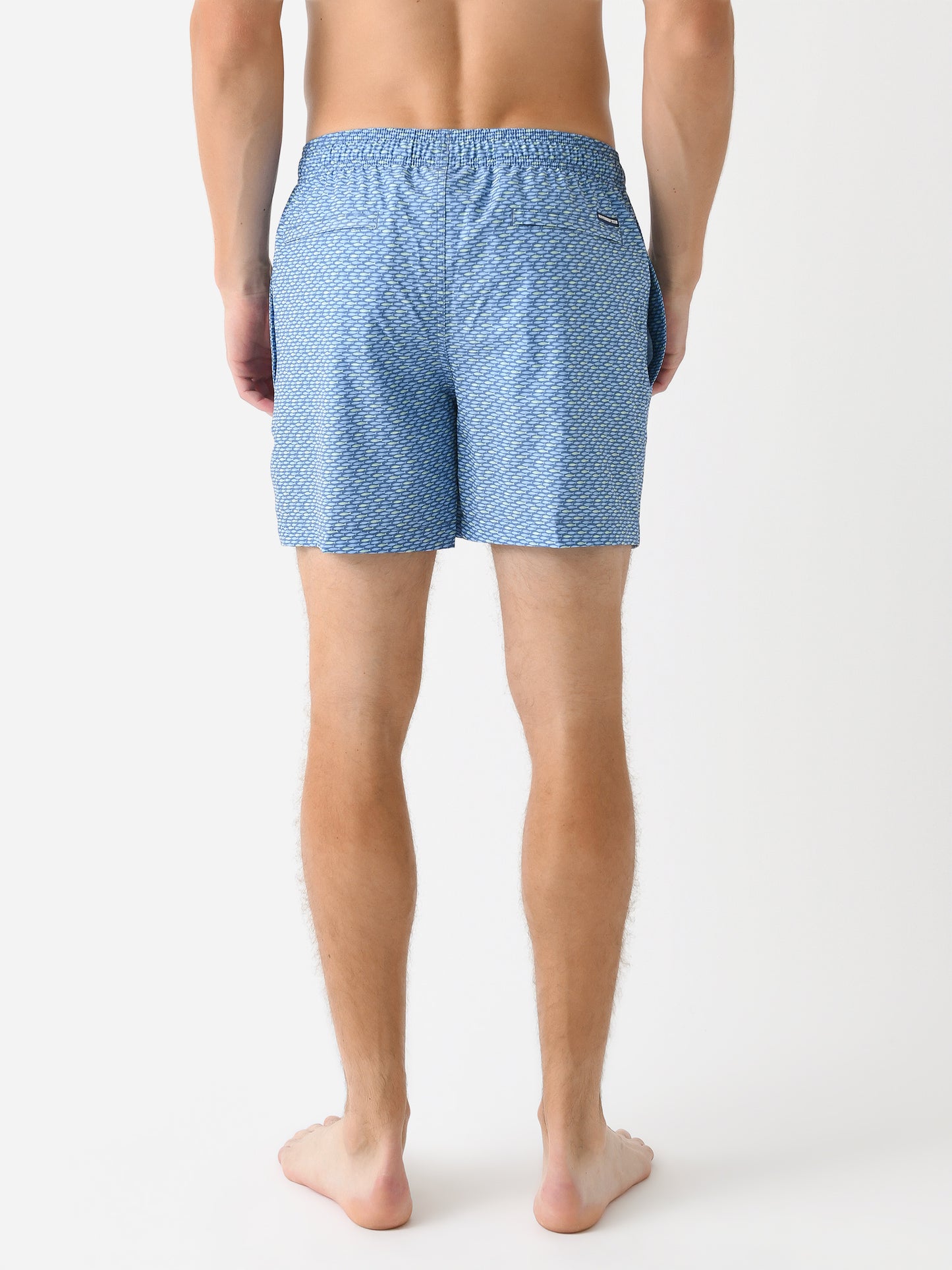 10669__xCORONETBLUE-alt3