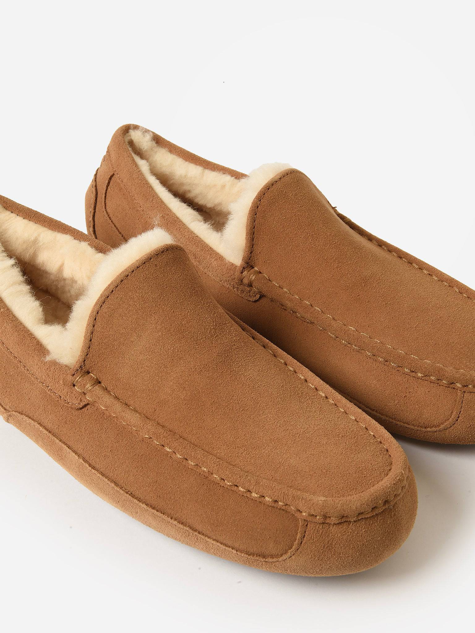 UGG Men's Ascot Slipper