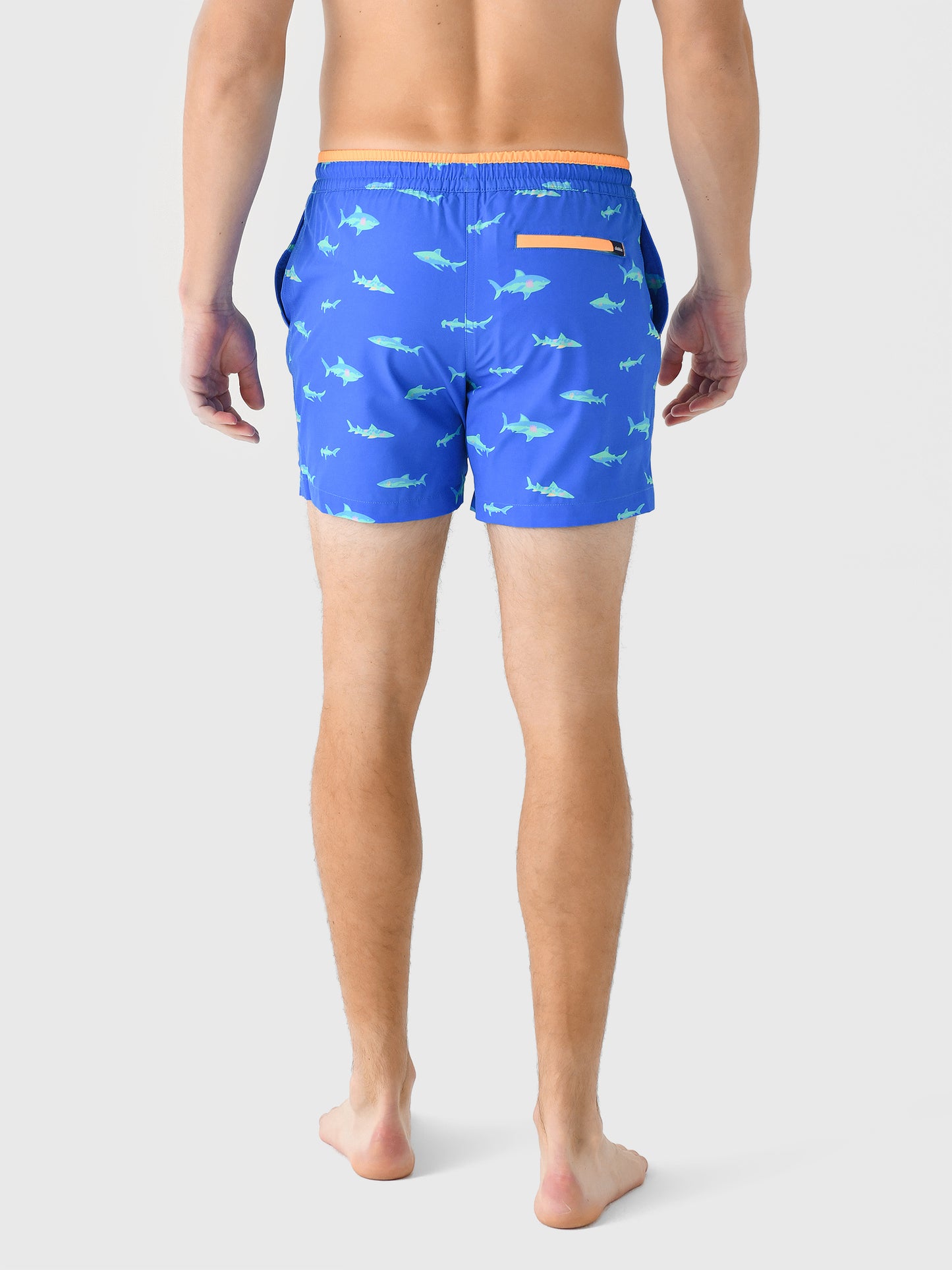 126241-34xBRIGHTBLUE-alt3