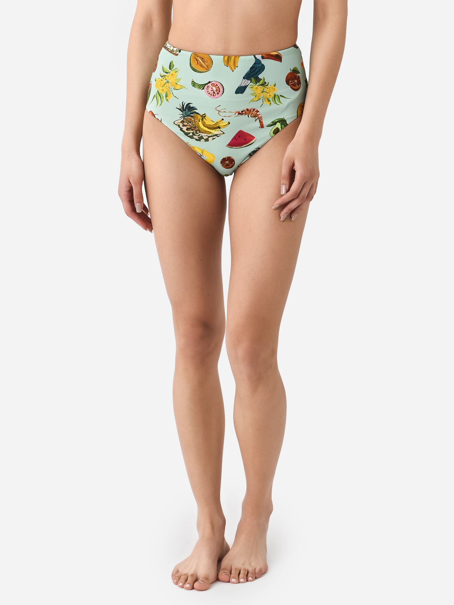 Alemais Women's Theo High Rise Bikini Bottom - Saint Bernard