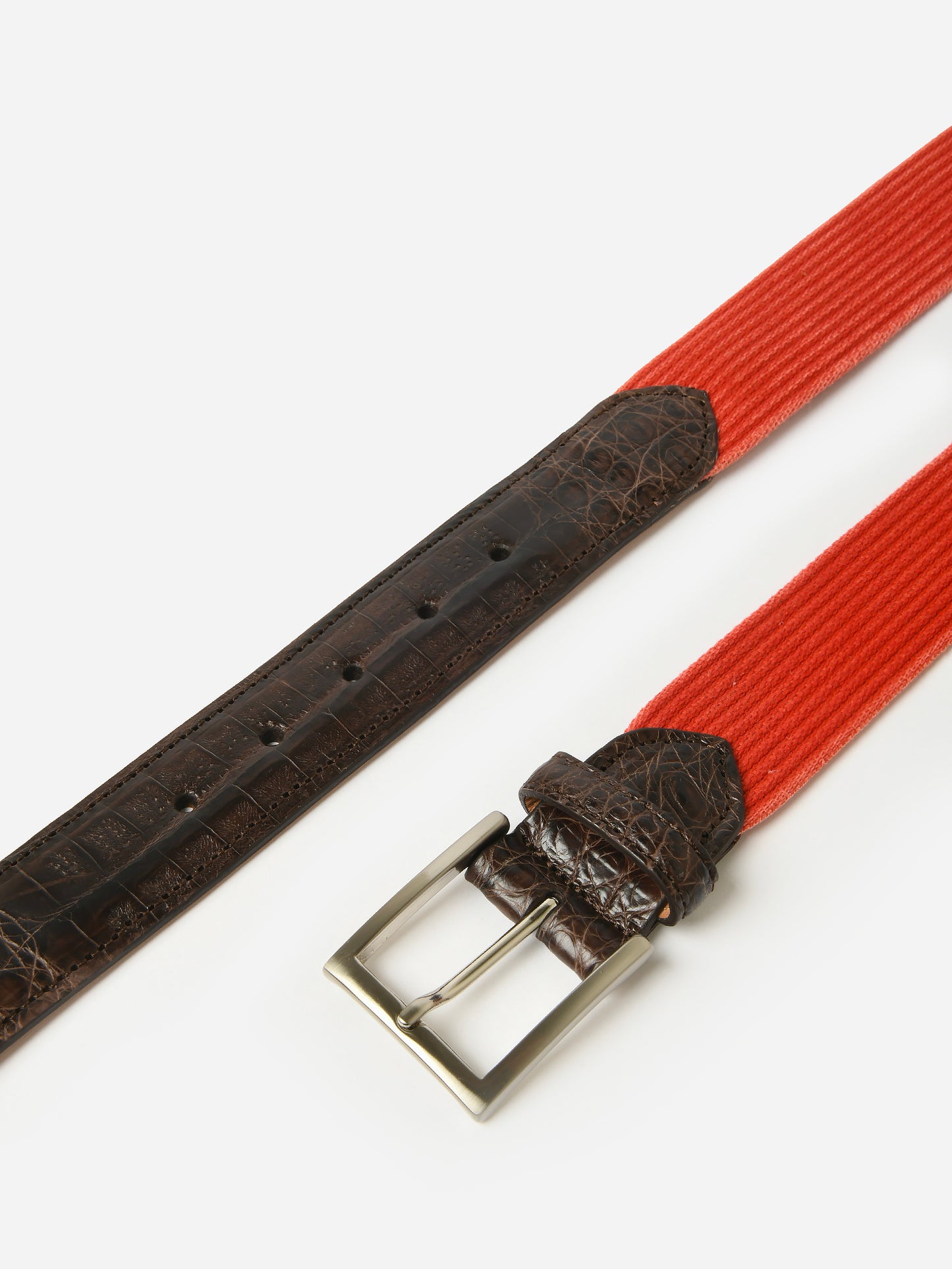 W. Kleinberg Men's Woven Belt - Saint Bernard