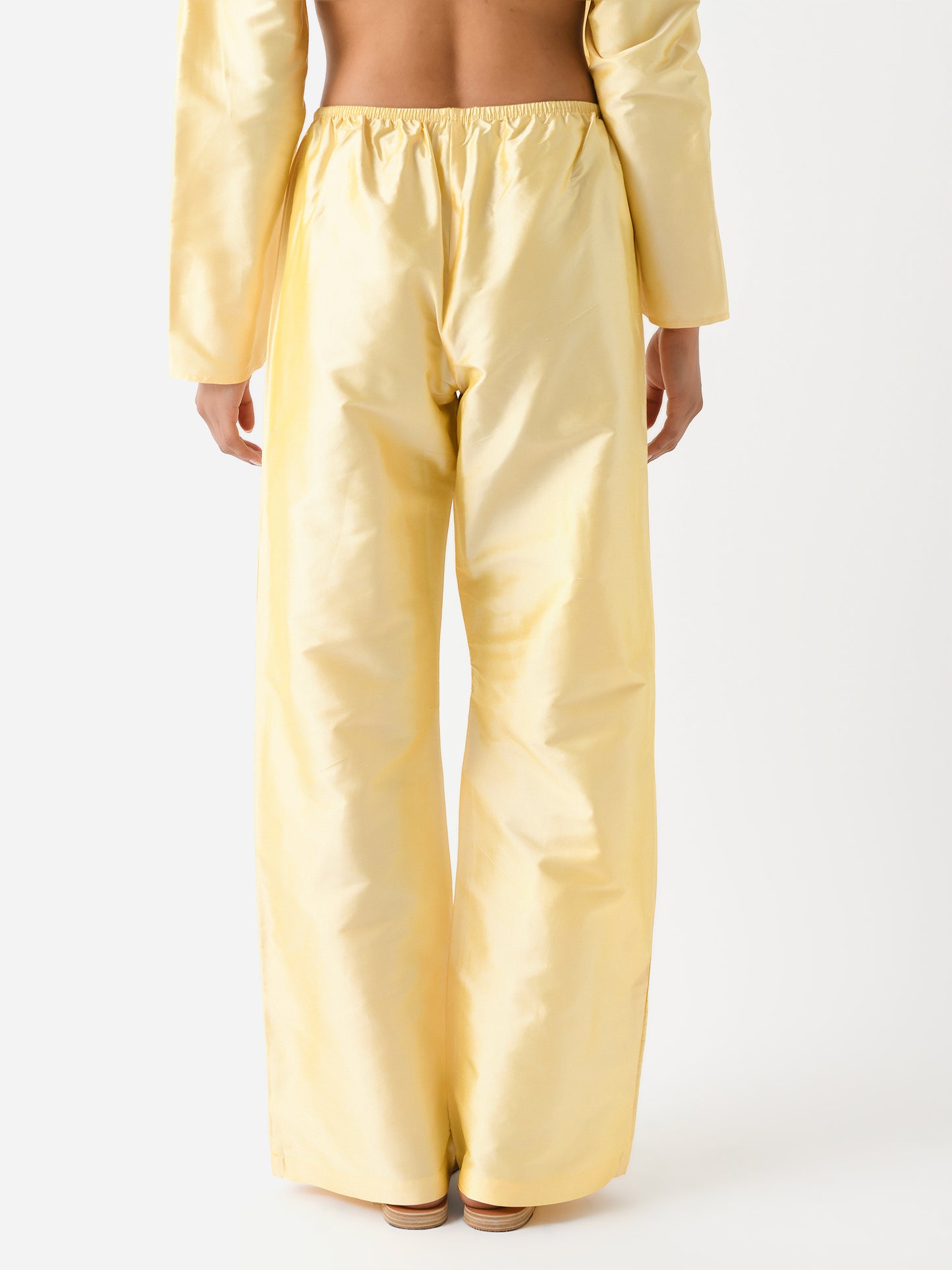 2026049CRNxCORN-alt3