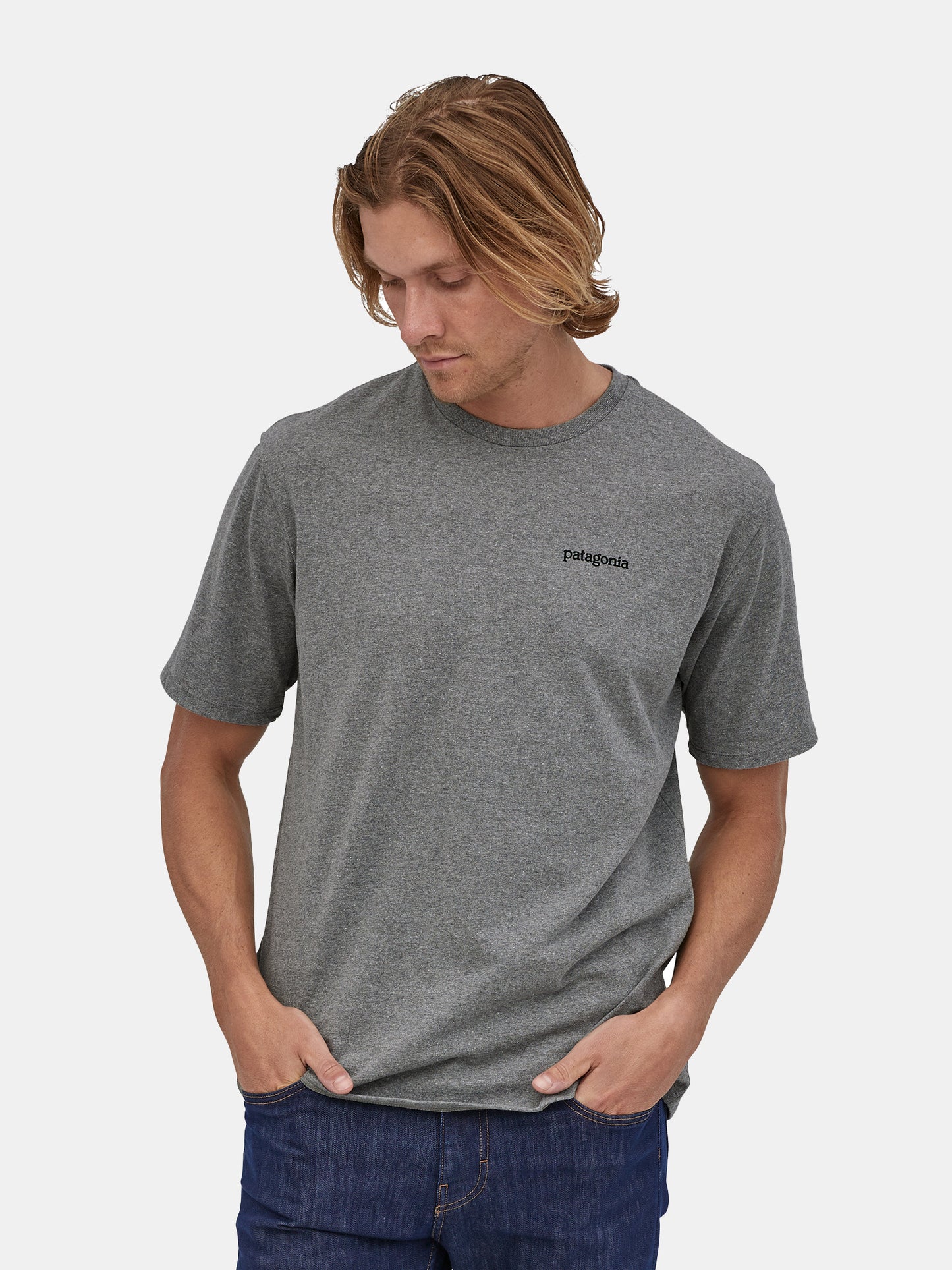 Patagonia Men's Fitz Roy Horizons Responsibili-Tee - Saint Bernard