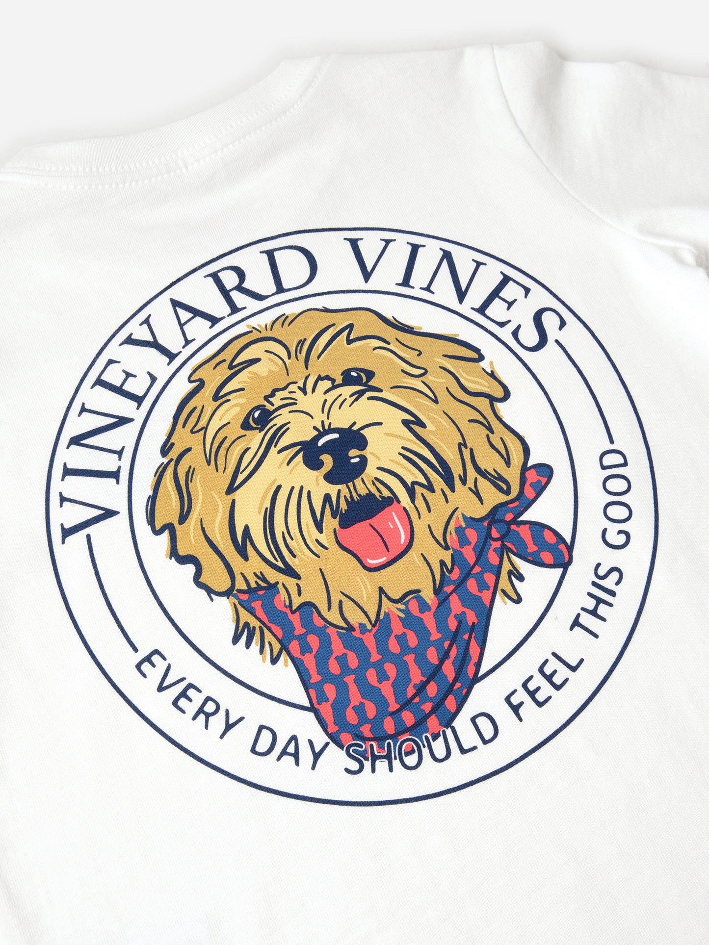 3V013838xWHITECAP-alt2