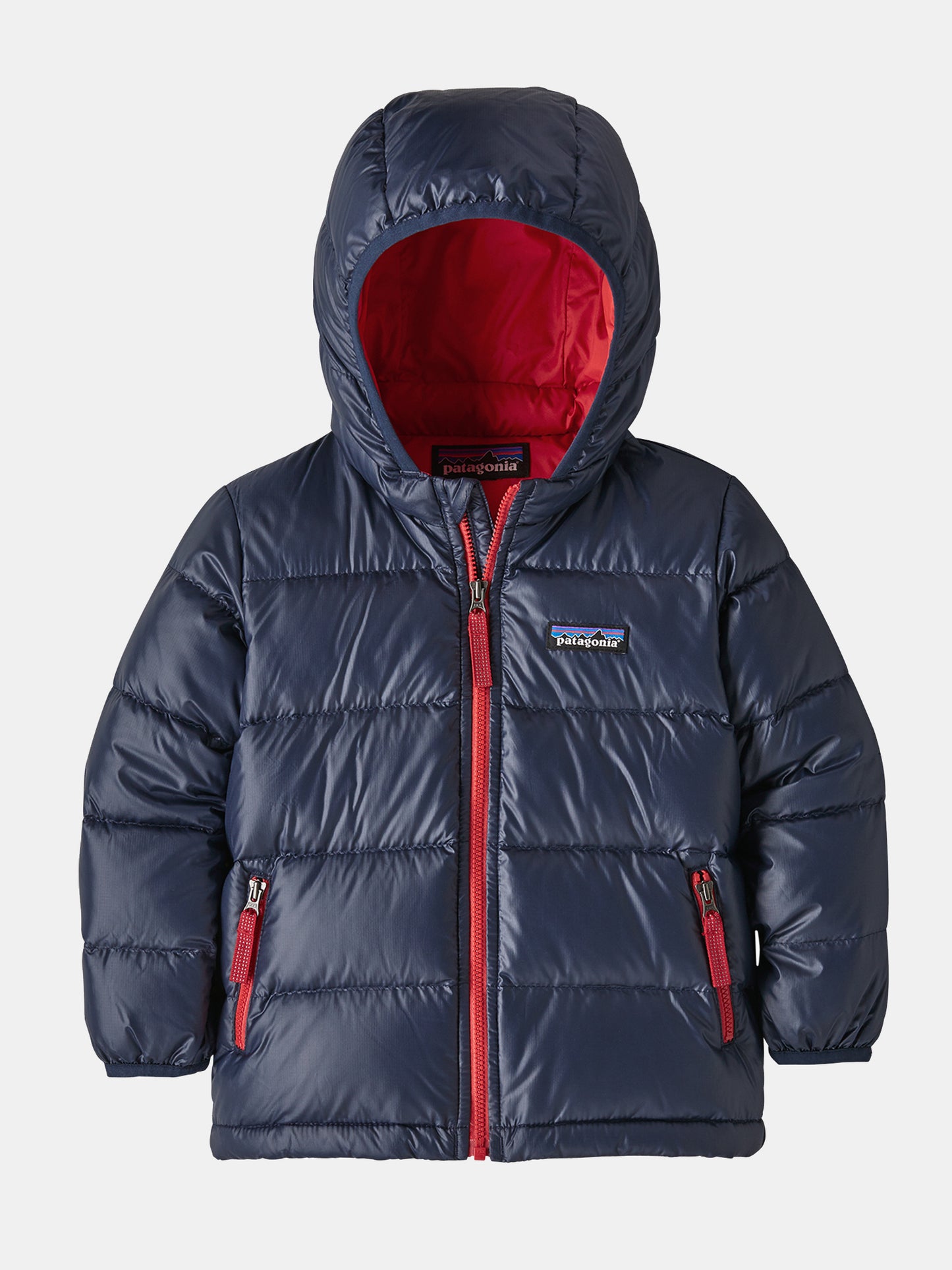 Patagonia Baby Hi-Loft Down Sweater Hoody - Saint Bernard