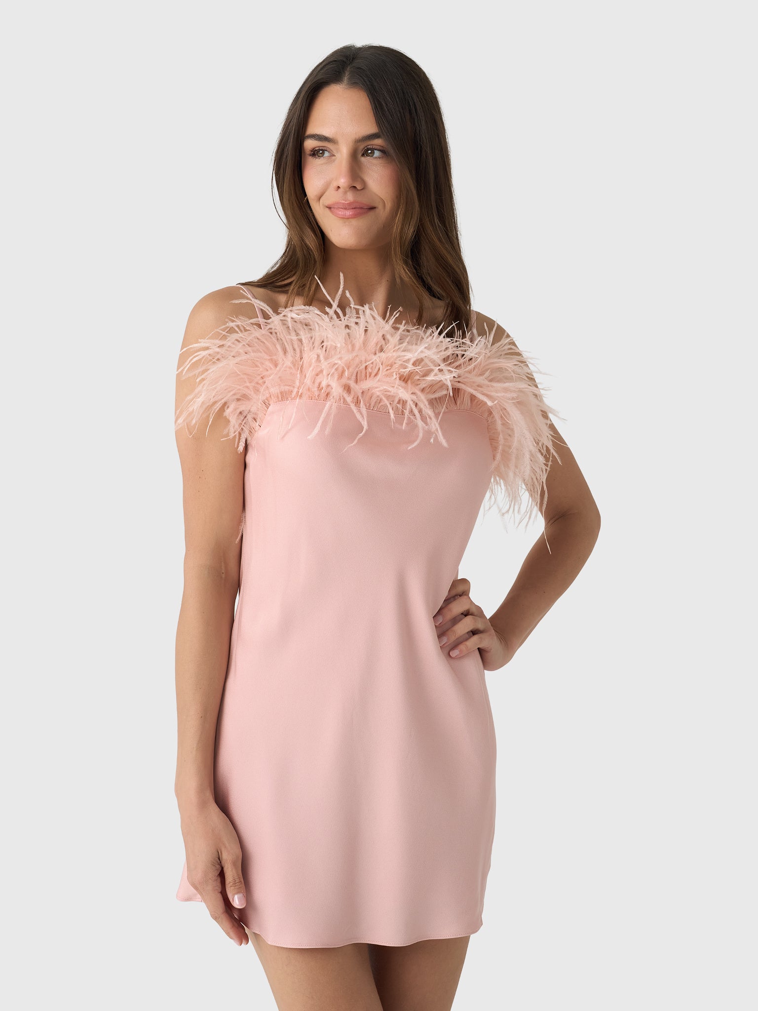 alc dresses A.L.C. Opal Feather Trimmed Mini Dress in Dusty Rose, Size 10 The Lucia Dress is branch:Army <strong>STEP 3:</strong>  Additional Insurance:$6000 Total (+$200.00) Wholesale blue white porcelain