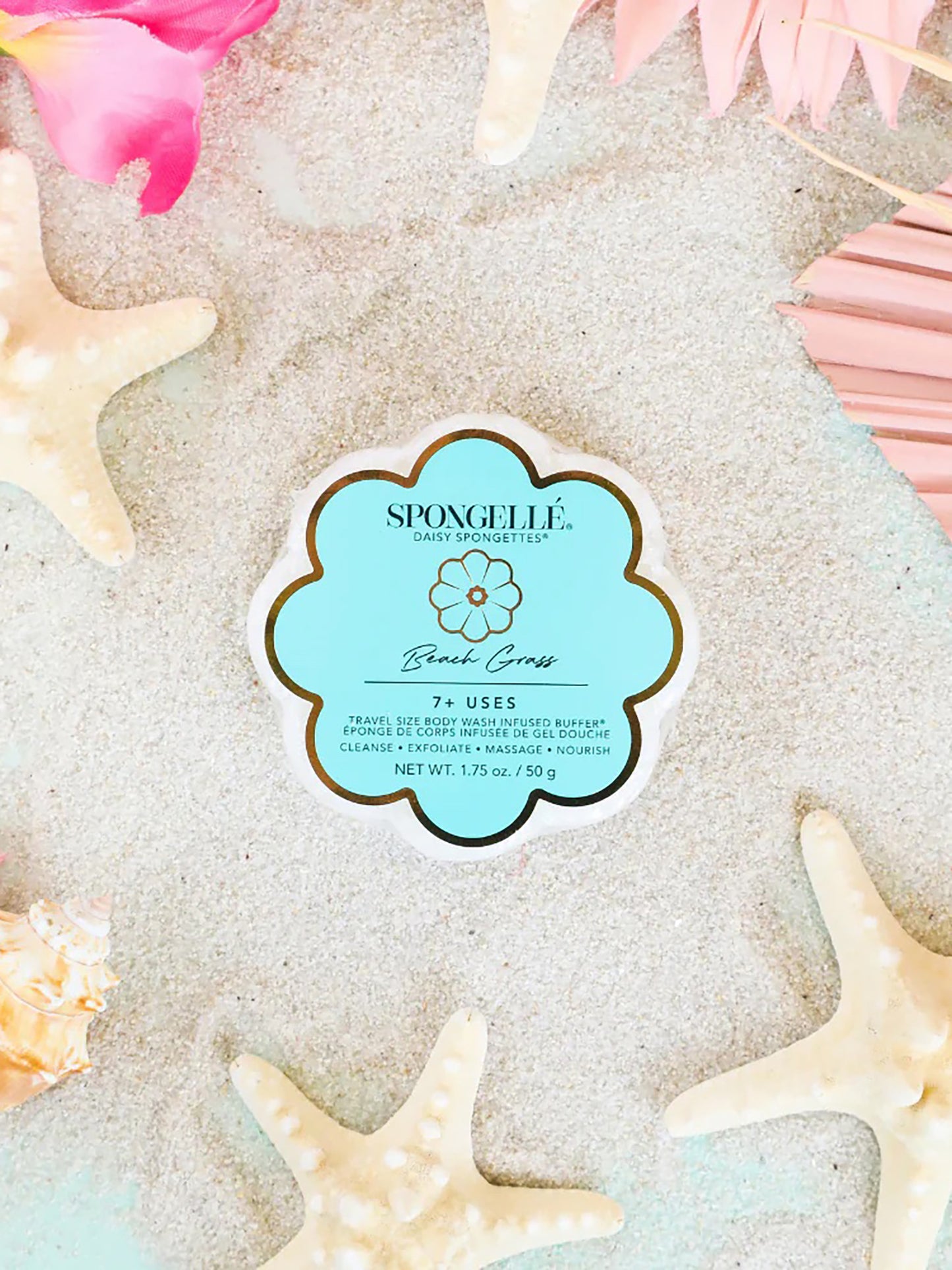 AST-DCSPGBGxWHITE-alt1