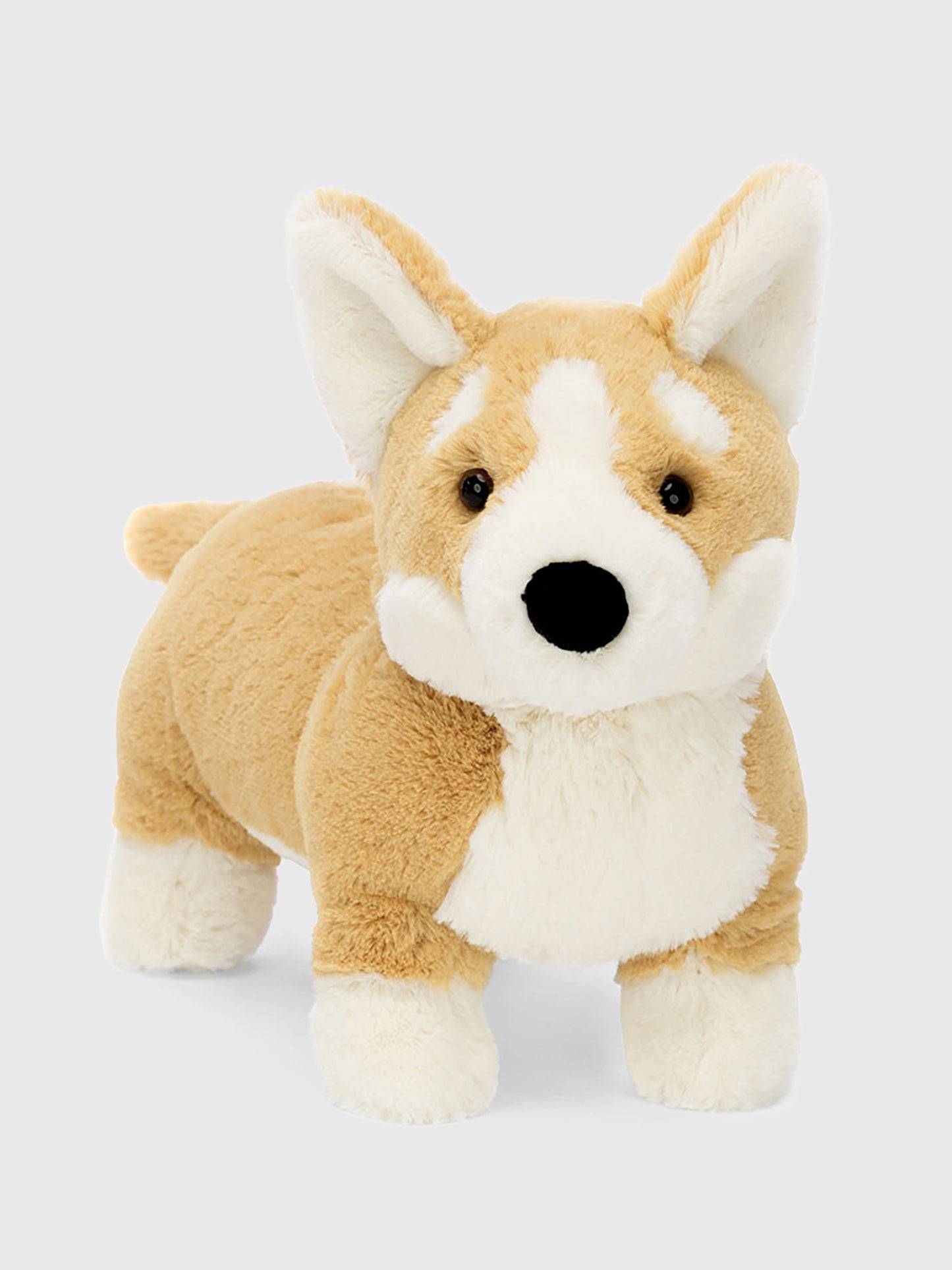 Jellycat Betty Corgi Plush - Saint Bernard