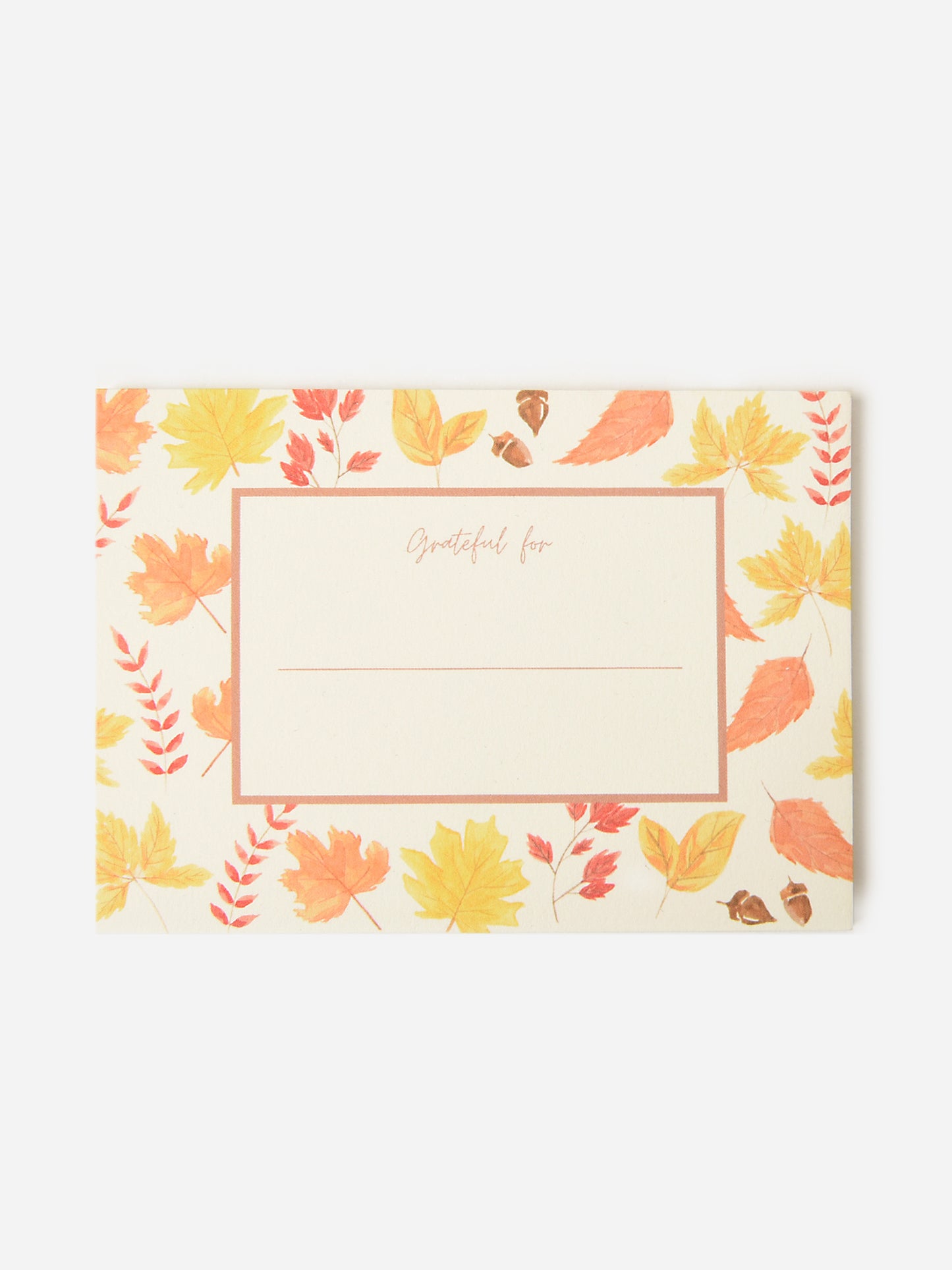 CMT Art Grateful Card Pack - Saint Bernard