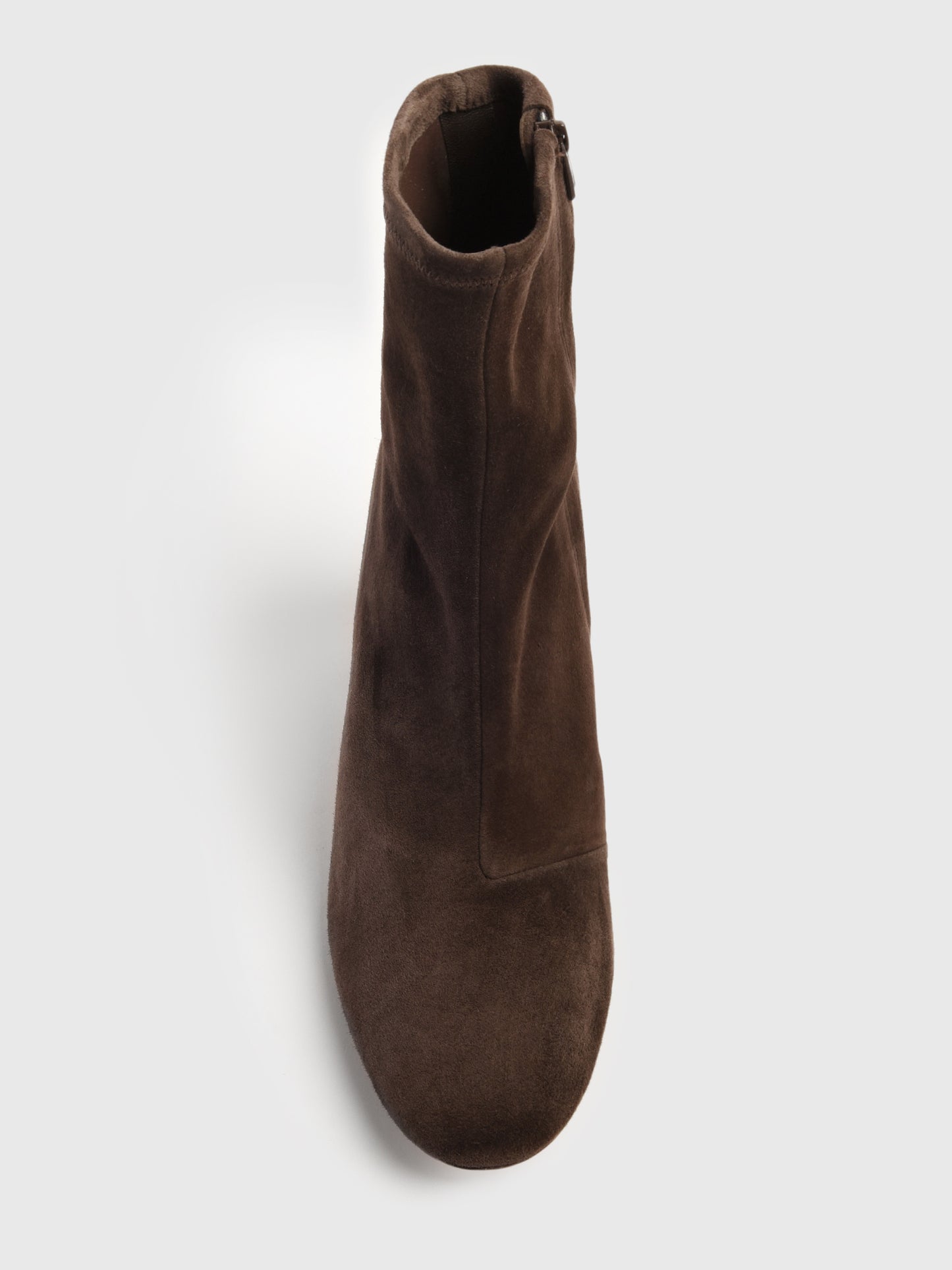 ELISE-SS-TMOROxTMORO-alt2