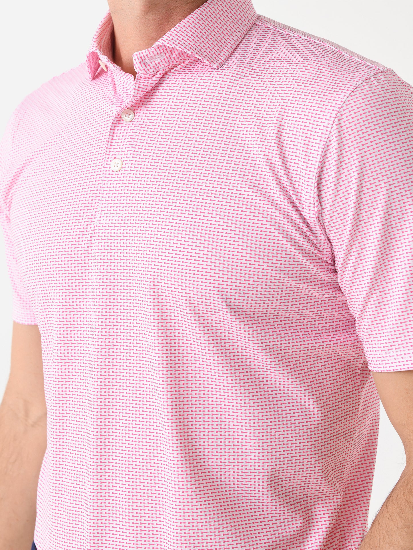 HB2019xWHITEREGENT-alt4