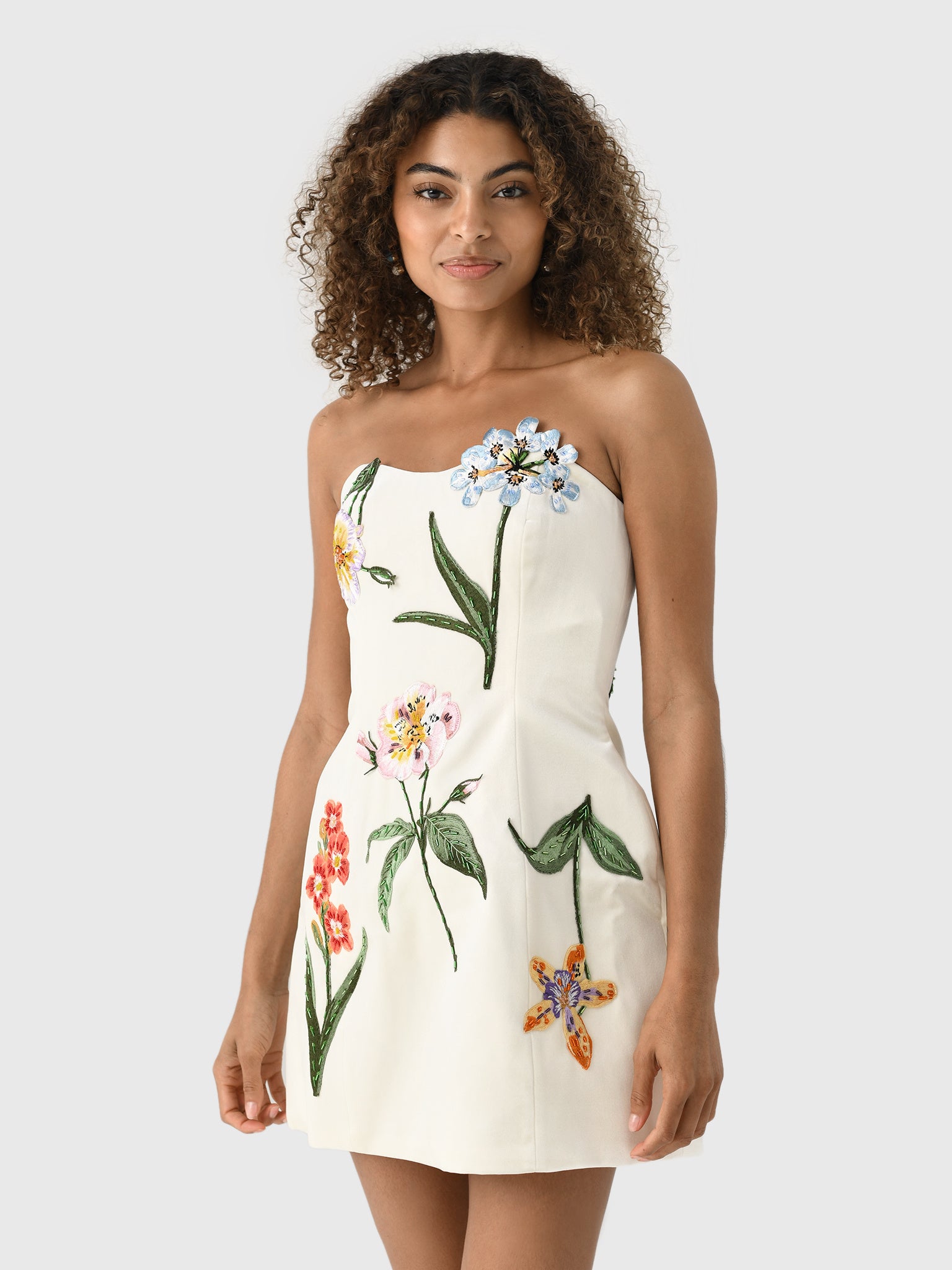 Leo Lin Women's Rosario Velvet Mini Dress – Saint Bernard