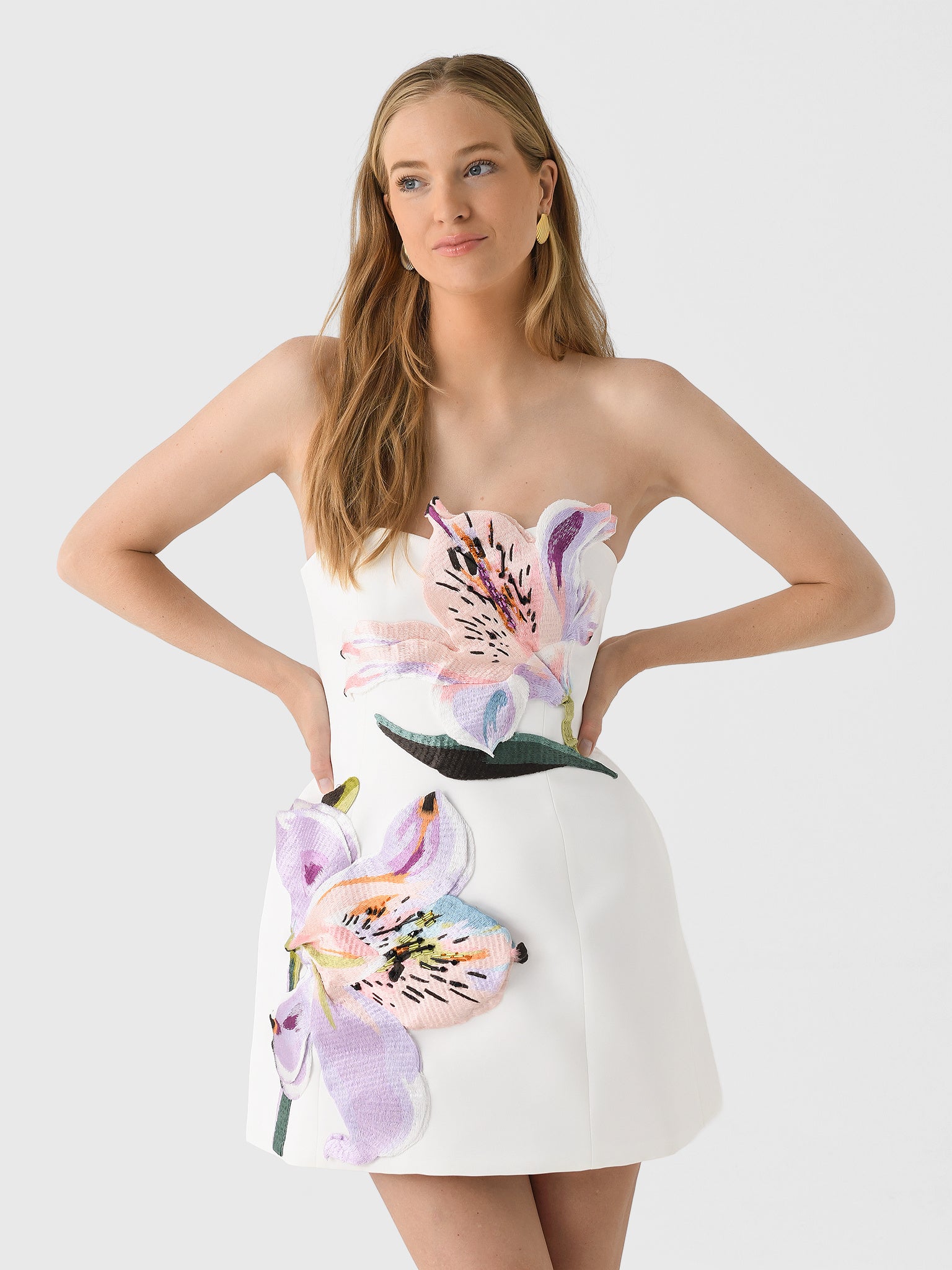 Leo Lin Women's Rosario Appliqu Floral Bustier Mini Dress Leo Lin Women's Rosario Appliqu Floral Bustier Mini Dress