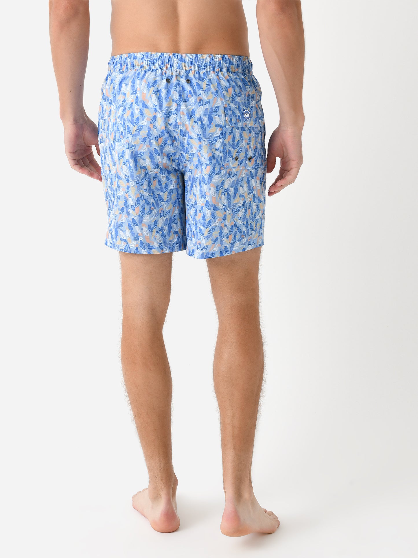 MS24P09xCOTTAGEBLUE-alt3