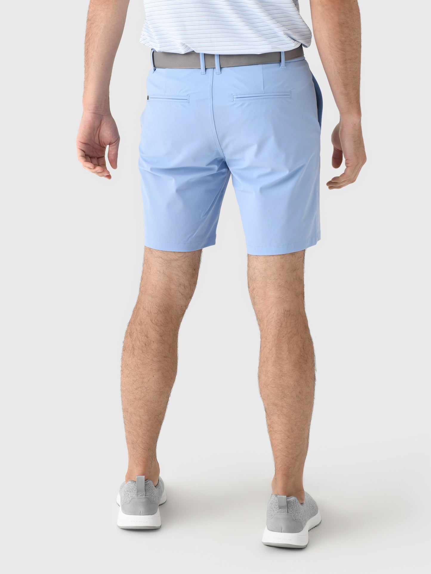 MSP25B26xWOLFBLUE-alt1