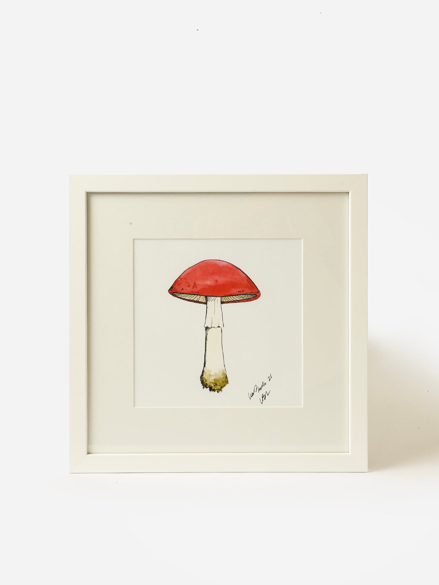 Lia Burke Libaire Mushroom Framed Print - Saint Bernard
