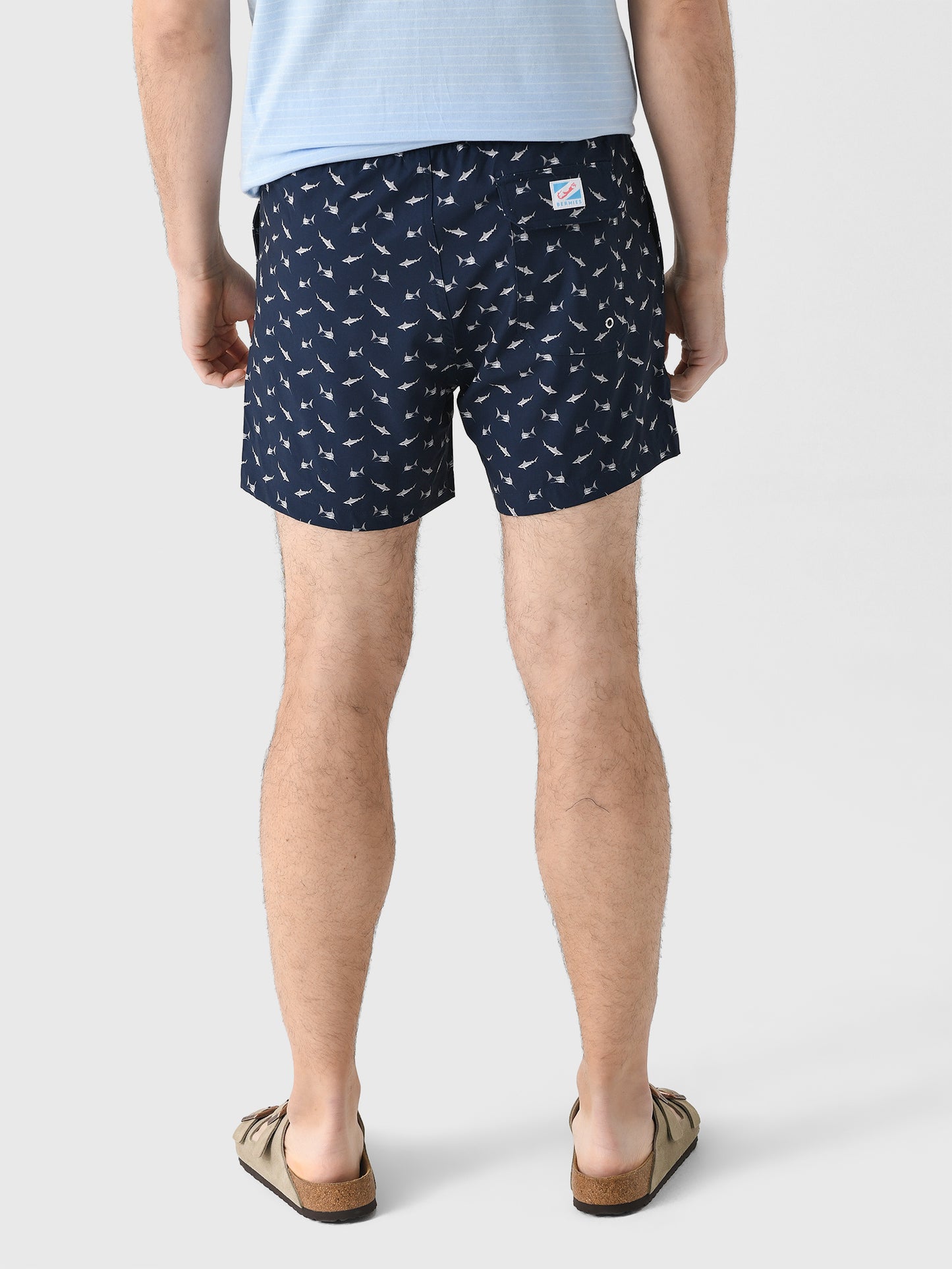 SHARKS-CLALxSHARKS-alt3