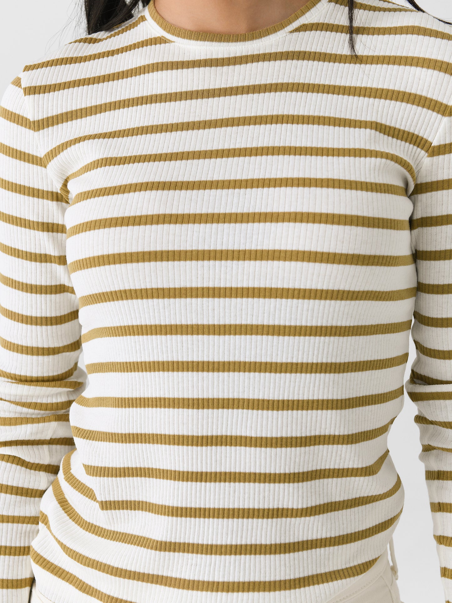 V138984781xSANDSAGE-alt4