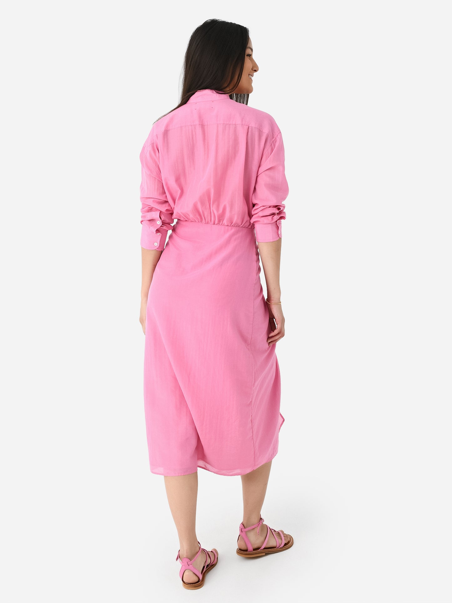 X334614xPETUNIA-alt2