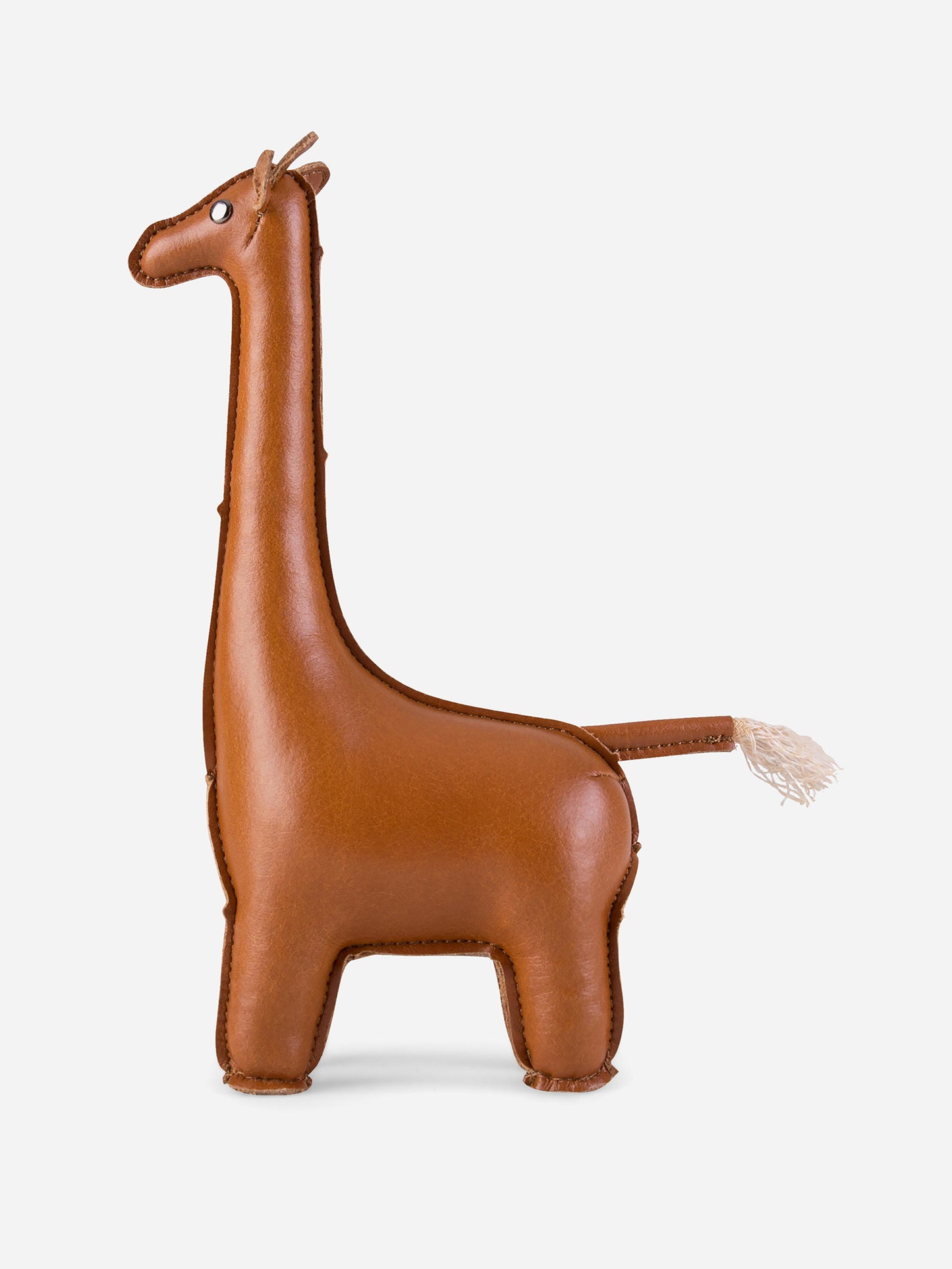 ZCPV06561000xTAN-alt1