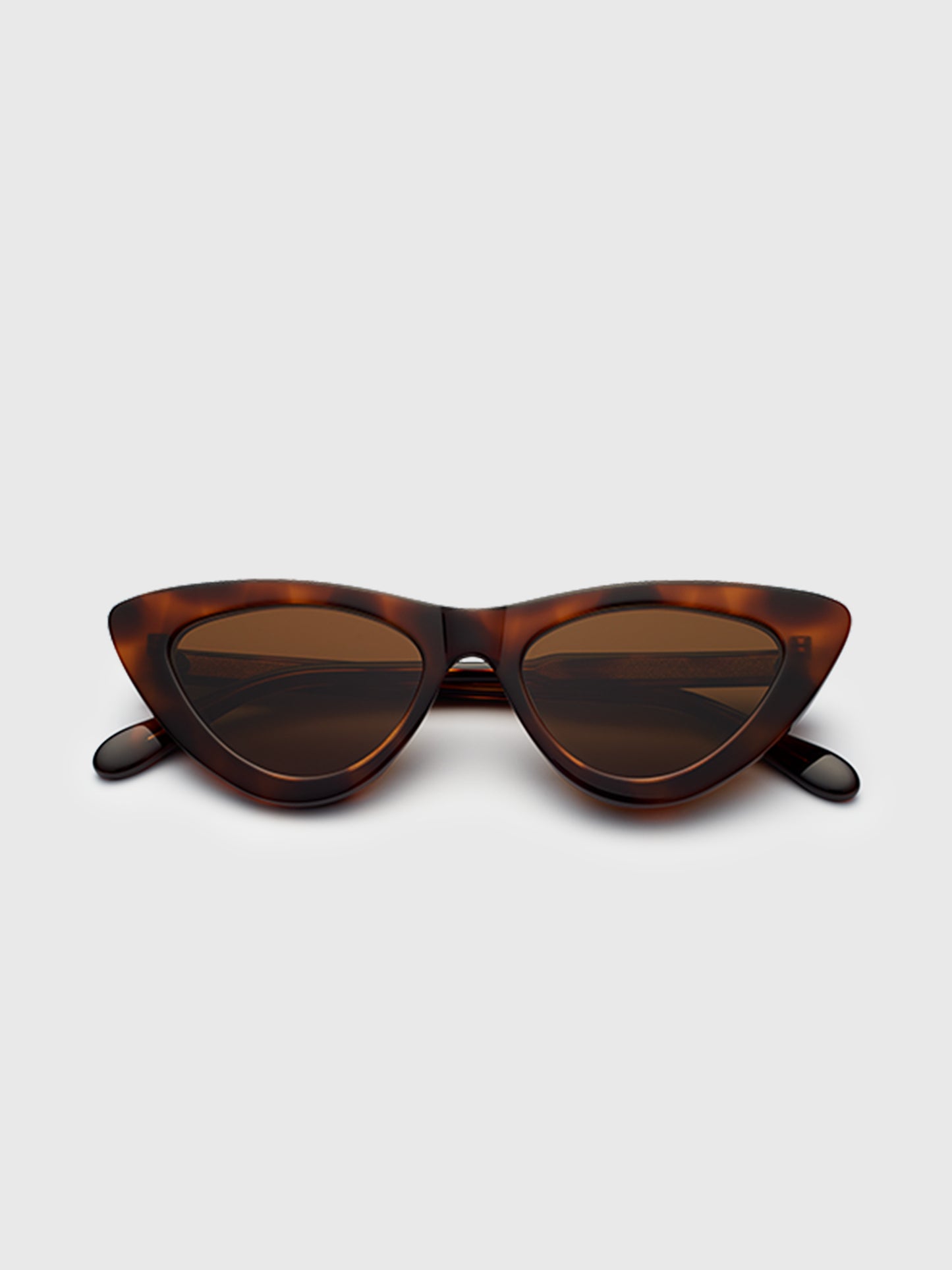 Chimi Tortoise #006 Sunglasses - Saint Bernard