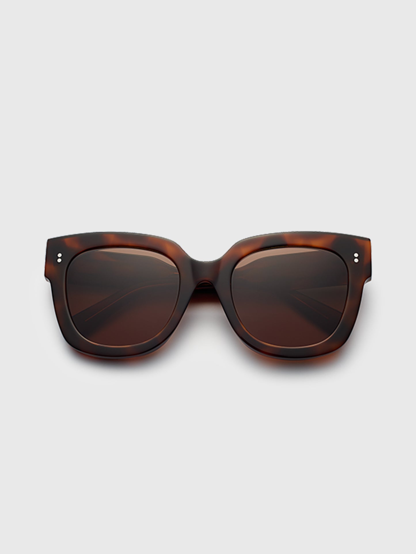 Chimi Tortoise #008 Sunglasses - Saint Bernard