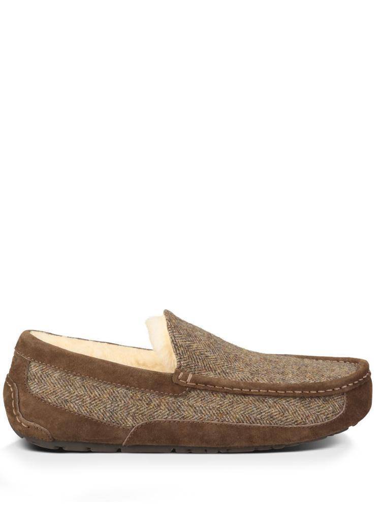 UGG Australia Men's Tweed Ascot Slipper - Saint Bernard