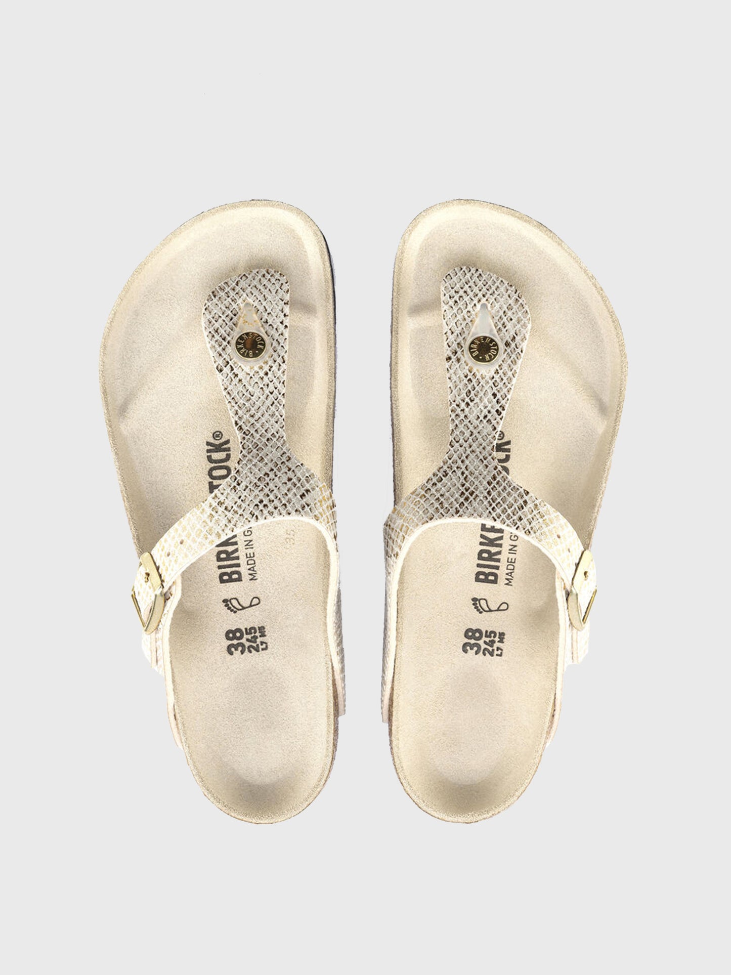 1018481xSHINYPYTHONEGGSHELL-alt3