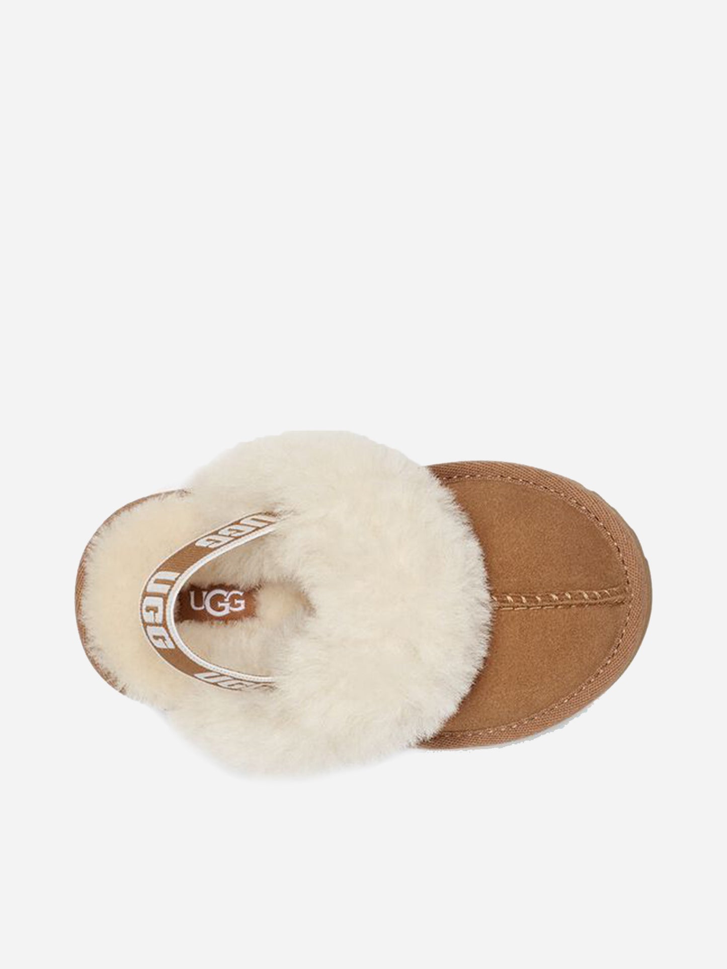 1130395TxCHESTNUT-alt2