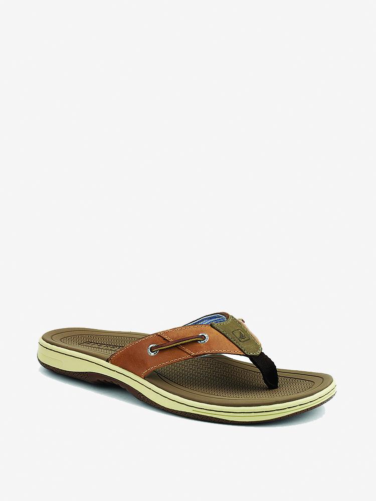 Sperry Men's Baitfish Flip-Flops - Saint Bernard