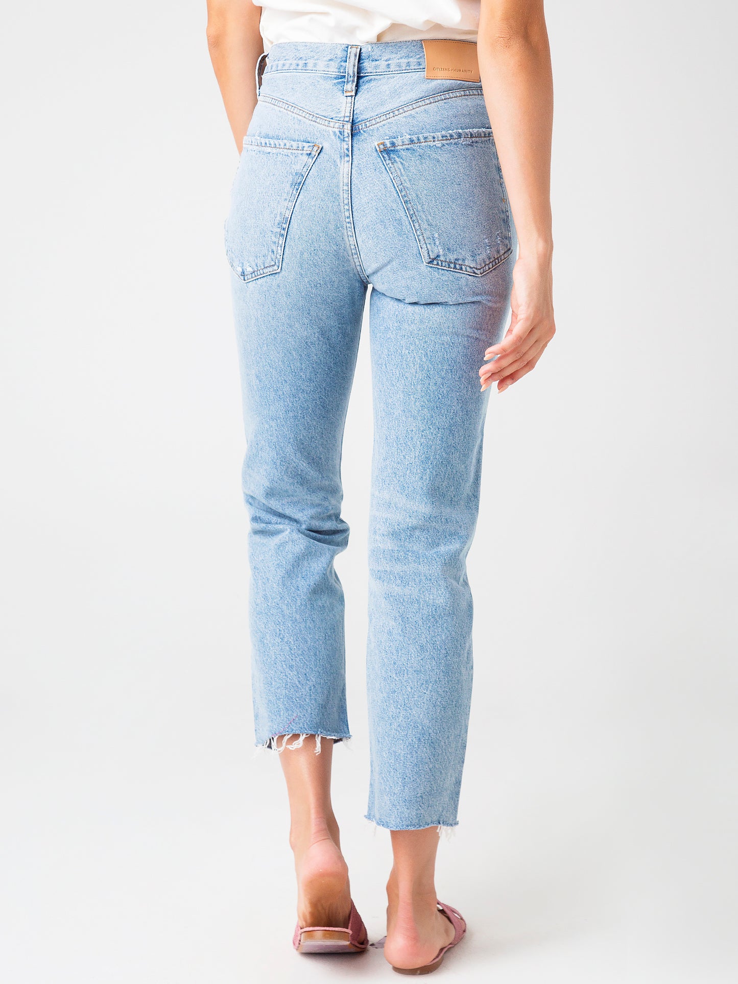 1939-1254xASTERLTINDIGO-alt3