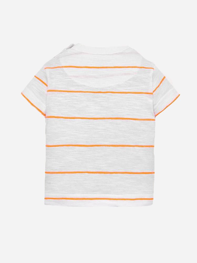 1.030x054Grapefruit-alt1