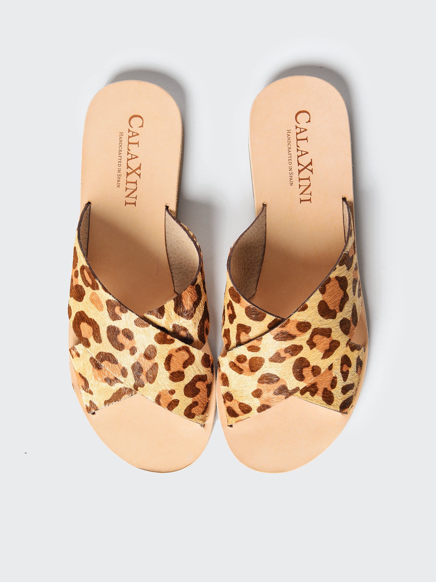 2023CXxCINTARAPONY-alt3