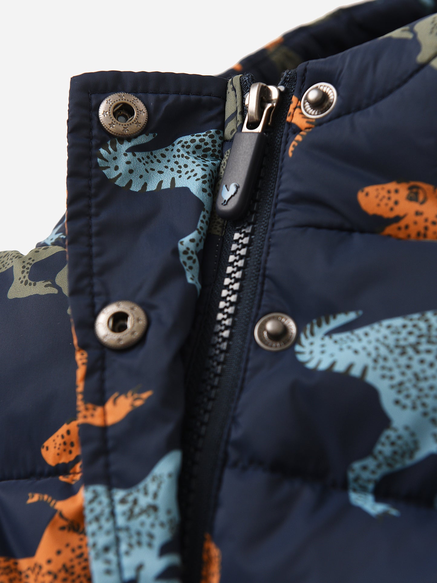 22FPC484BxDRESSBLUESTREX-alt2