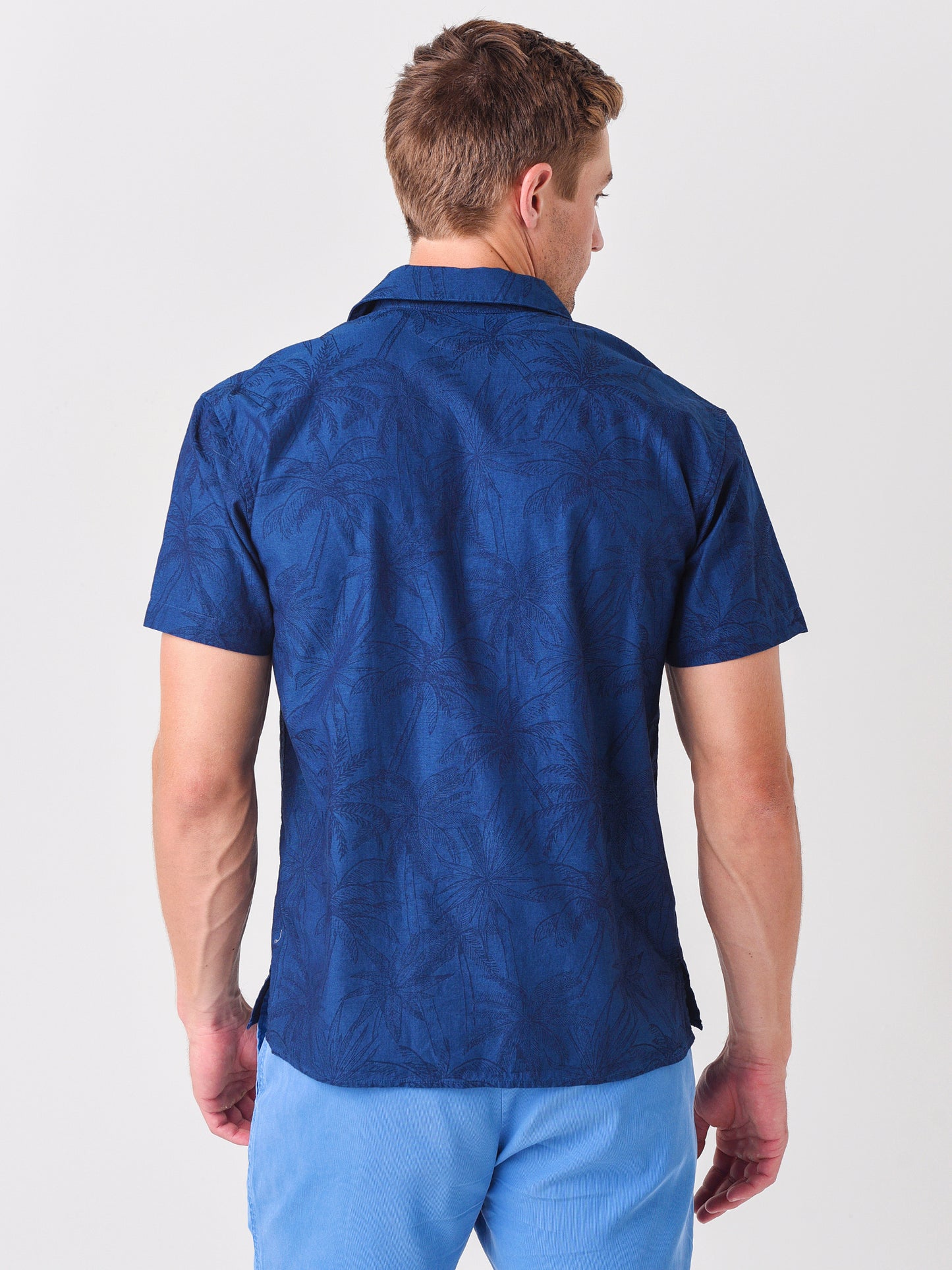 27795xANITASPALMC1-alt3