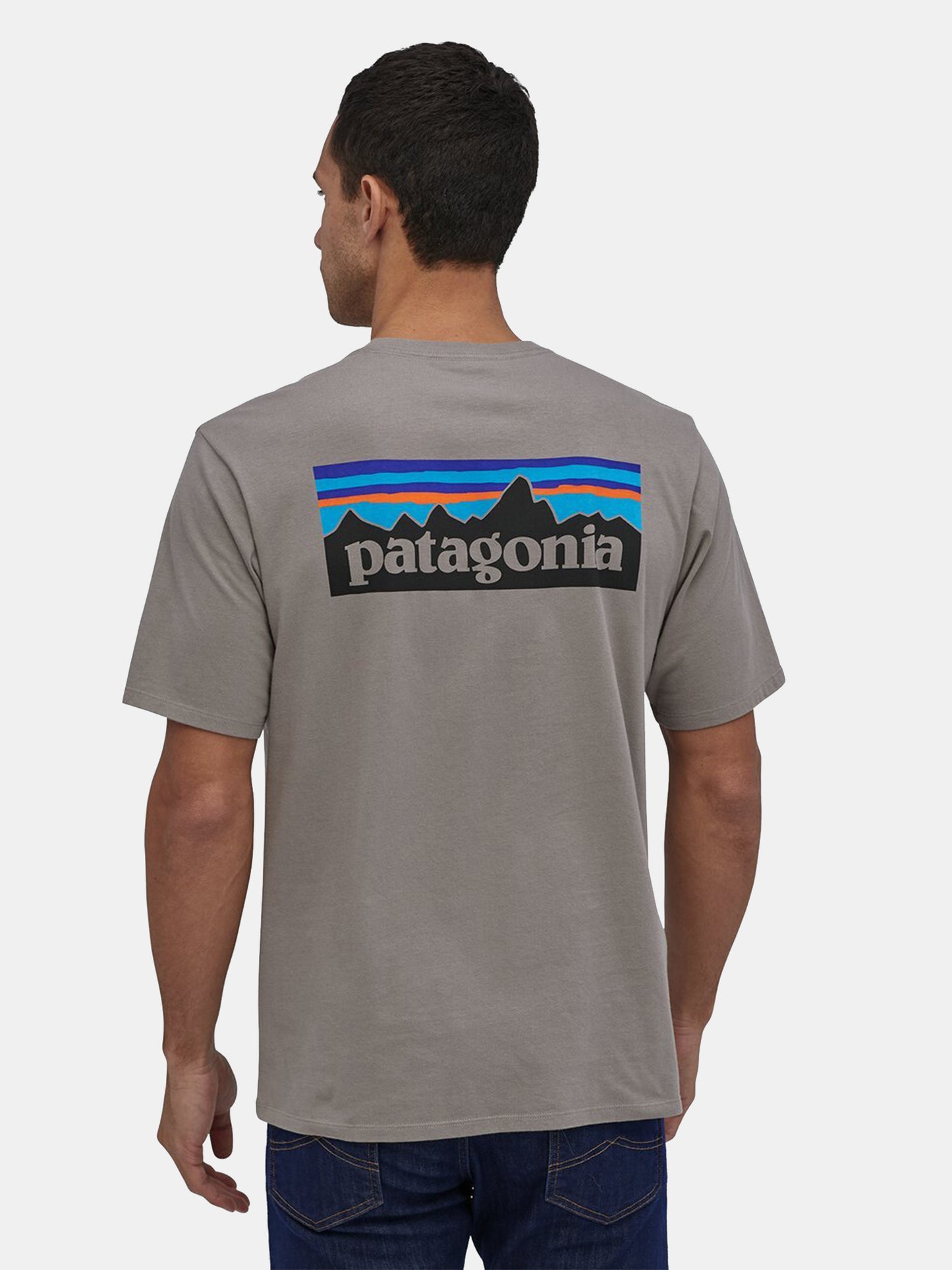 Patagonia Men's P-6 Logo Organic T-Shirt - Saint Bernard