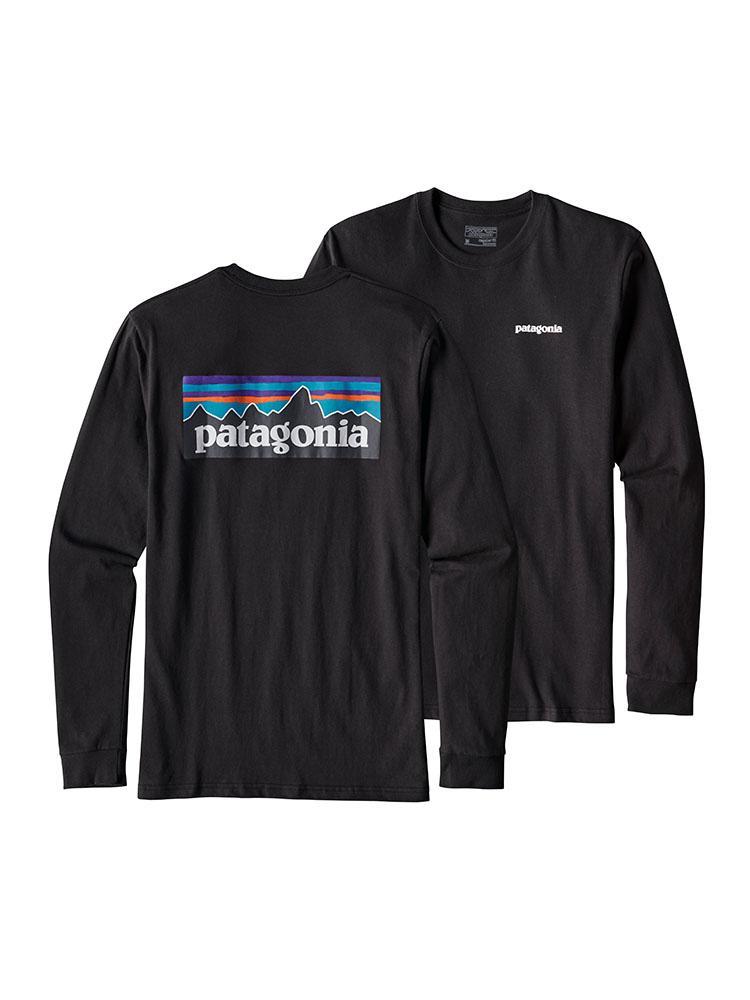 Patagonia Men's Long-Sleeved P-6 Logo Cotton T-Shirt