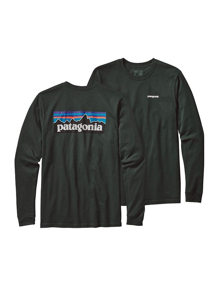 Patagonia Men's Long-Sleeved P-6 Logo Cotton T-Shirt
