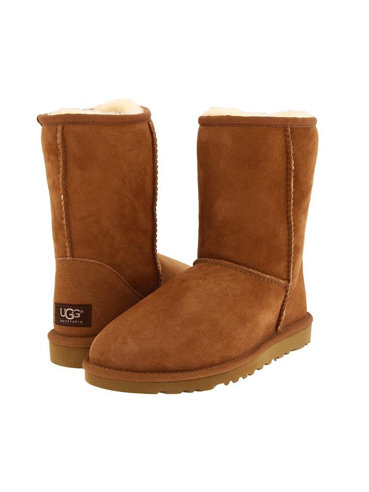UGG Australia Women's Classic Short Boot - Saint Bernard