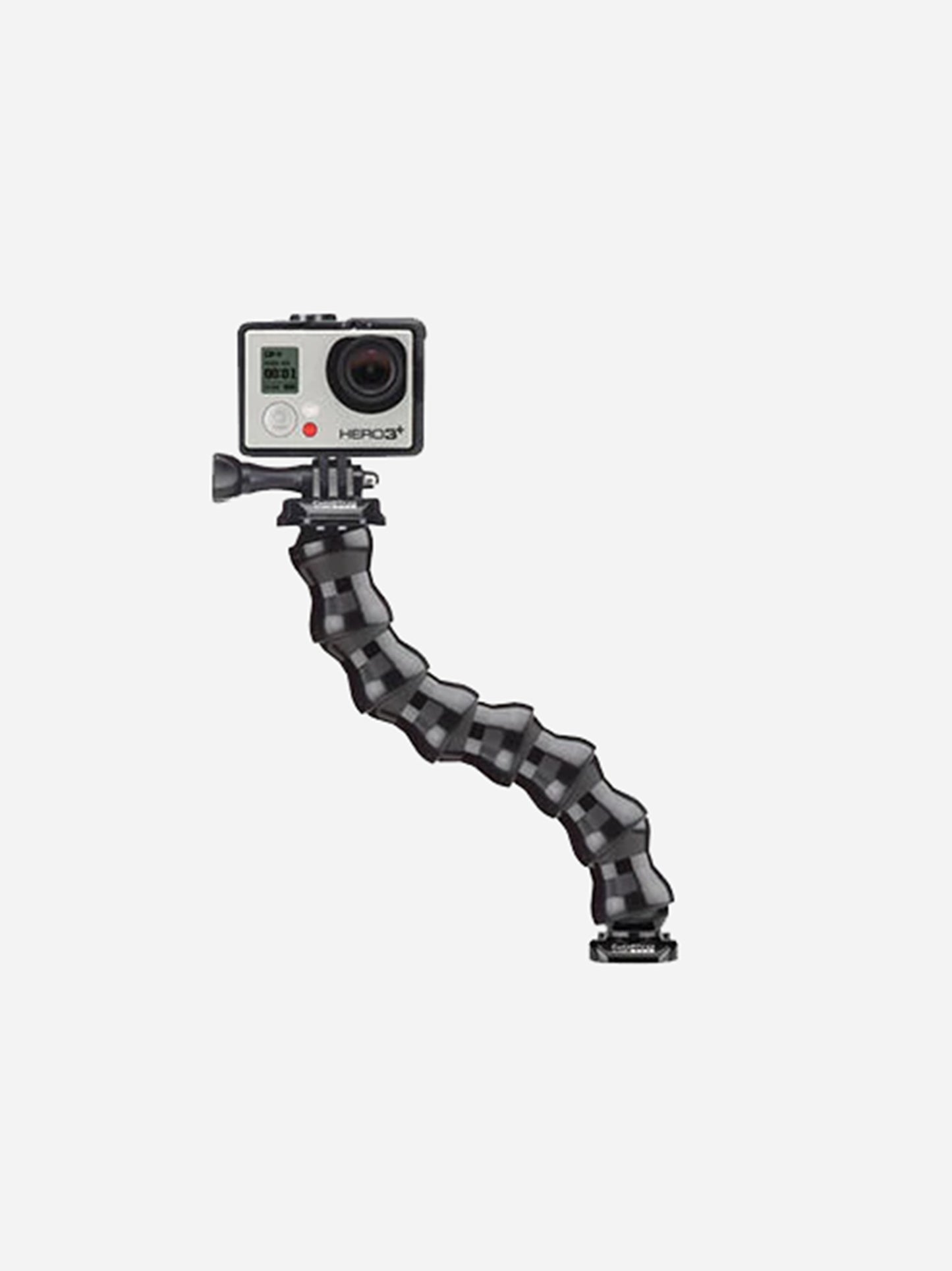 GoPro Gooseneck - Saint Bernard