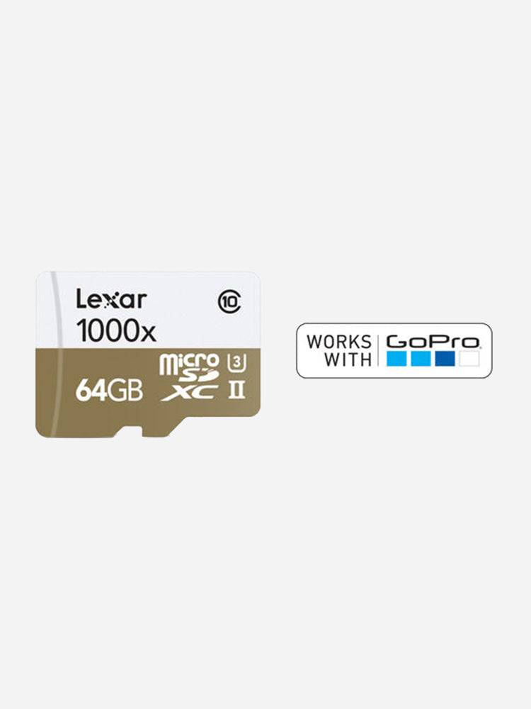 GoPro 64GB Lexar microSDXC Memory Card - Saint Bernard