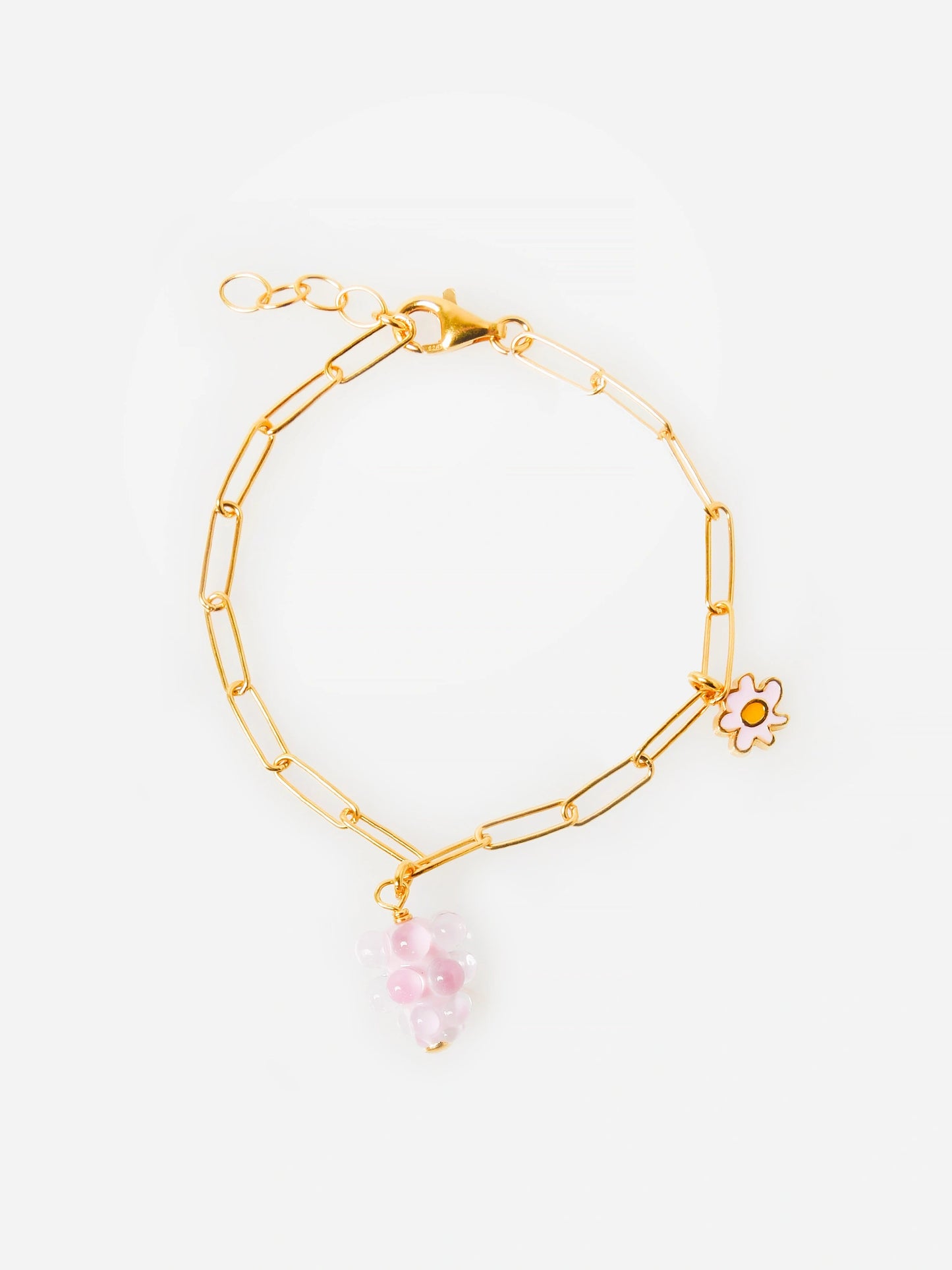 BR 27xRASPBERRYGOLD-alt2