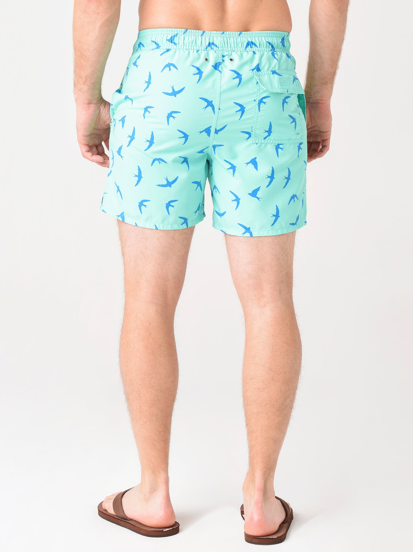 BirdsxAQUAGREENBLUE-alt3