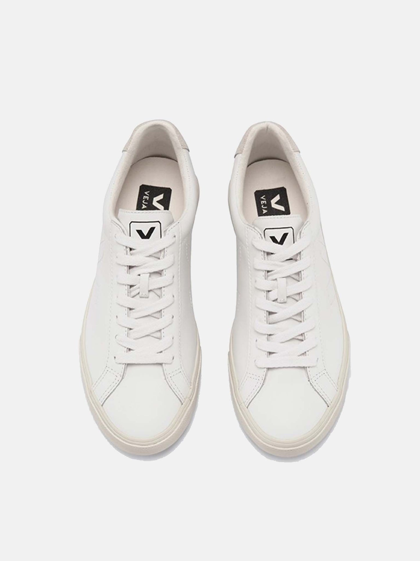 EA2001xEXTRAWHITE-alt2