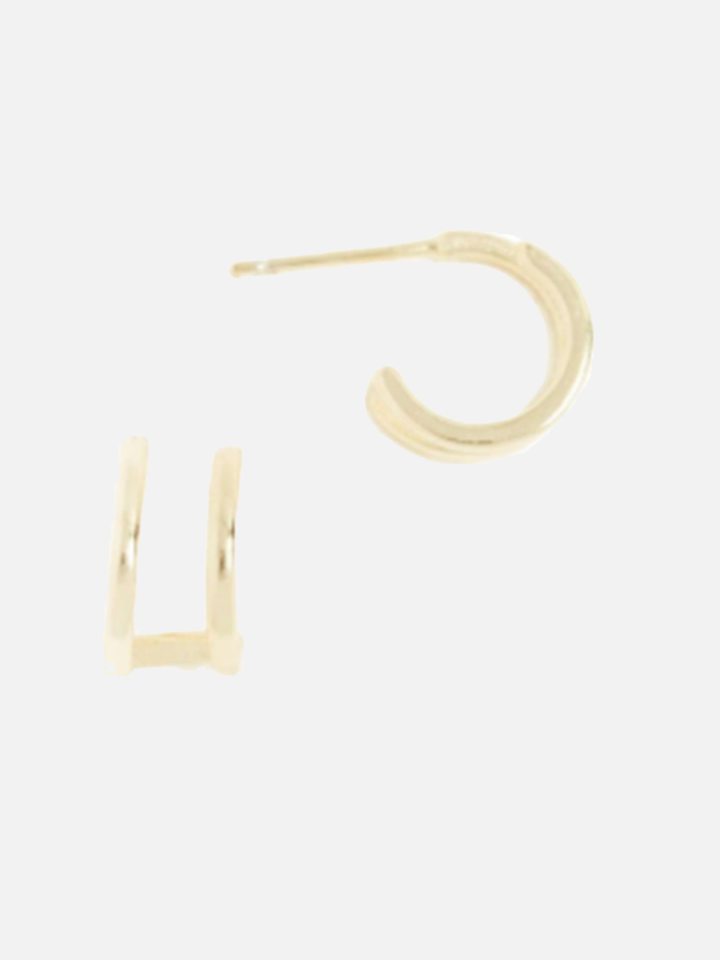 Shashi Erin Hoop - Saint Bernard