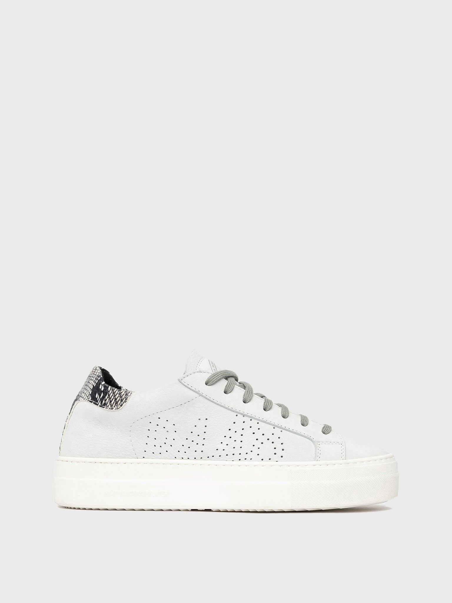 P448 Women's Thea White/Twister Python Sneaker Saint