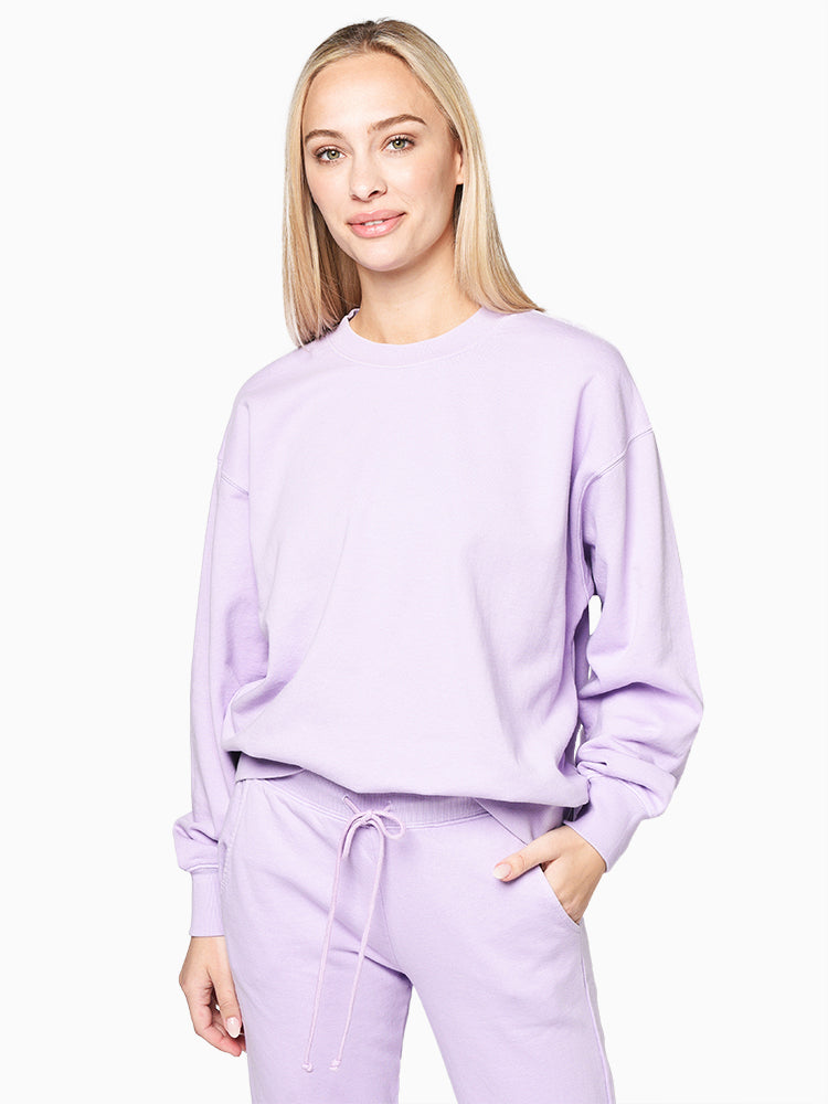 Velvet Gwyneth - Saint Bernard