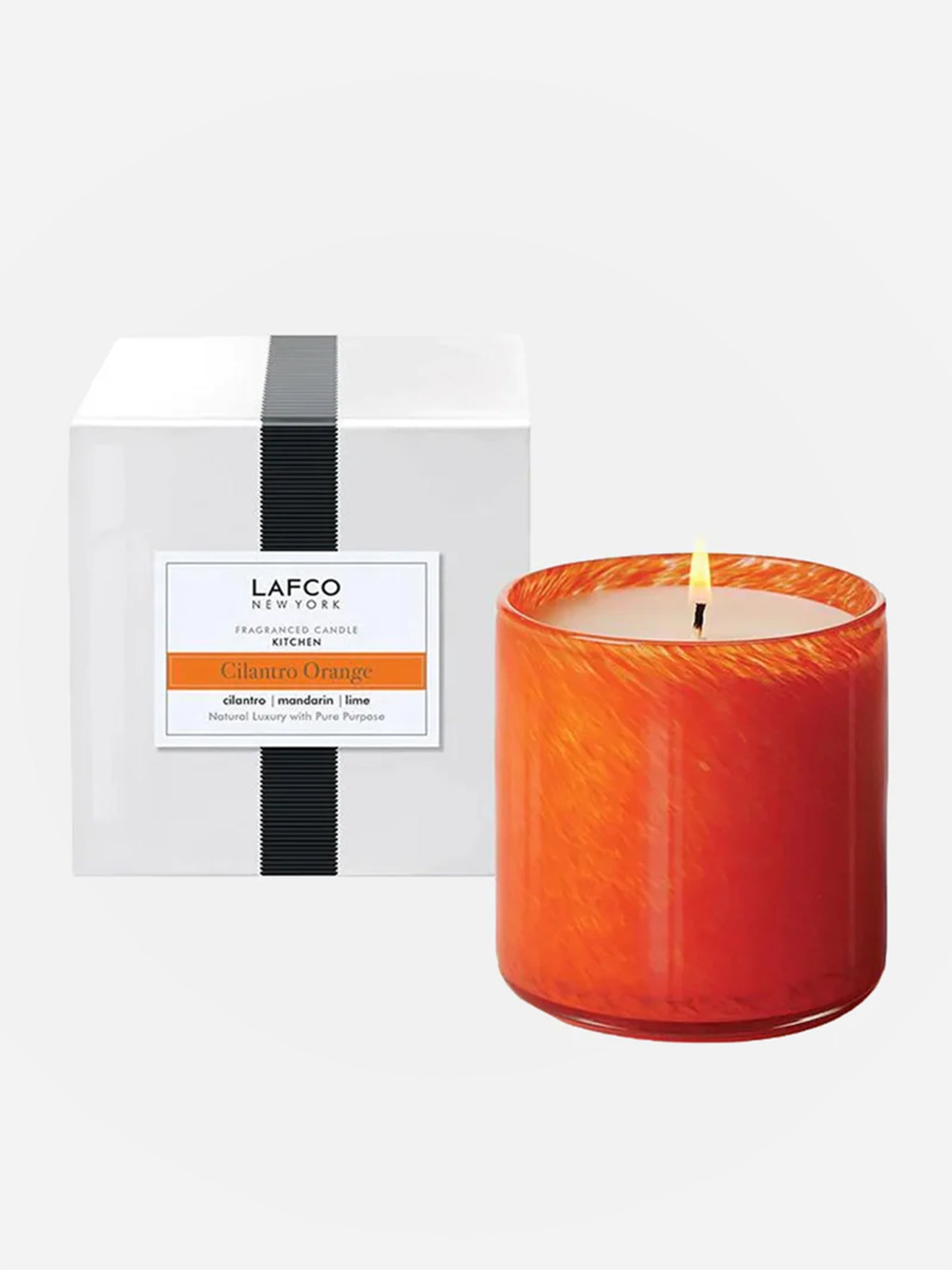 LAFCO Cilantro Orange Candle - Saint Bernard
