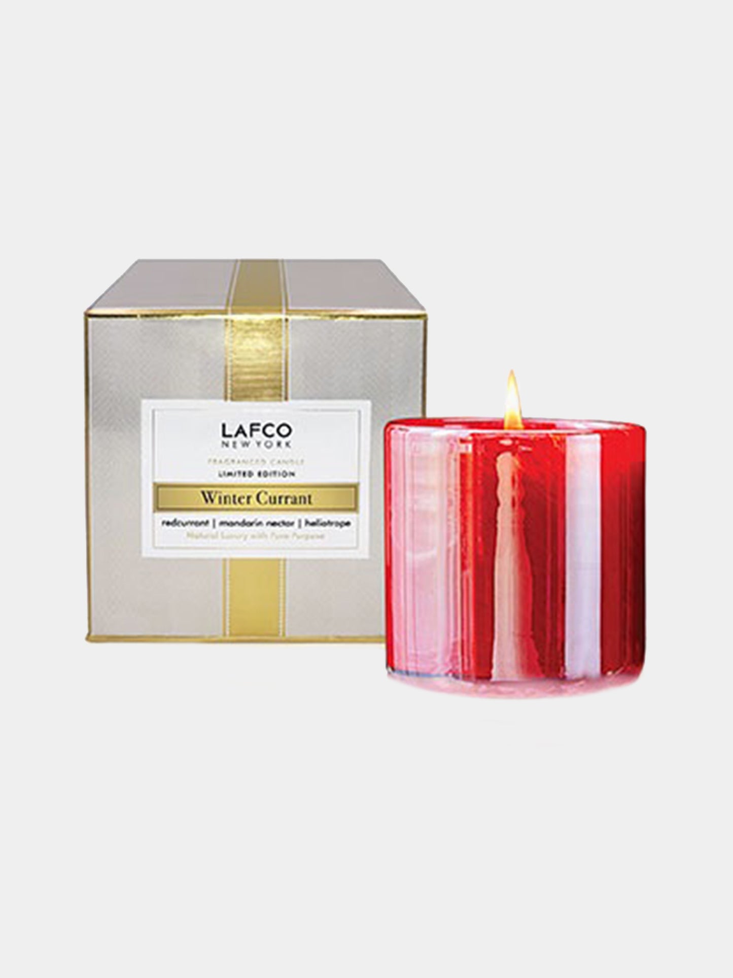 LAFCO Winter Currant Classic Candle 6.5OZ - Saint Bernard
